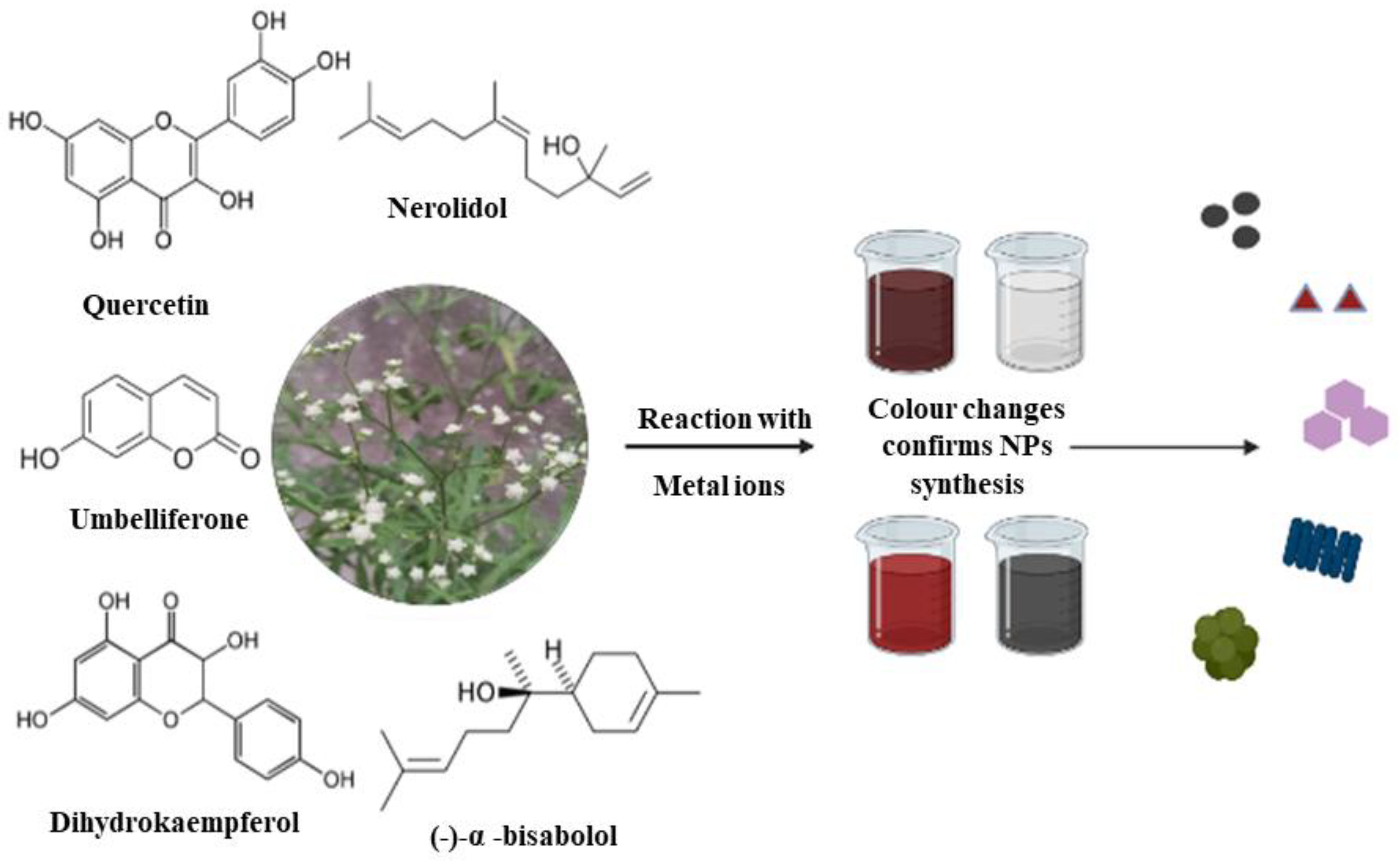 Antibiotics 12 00543 g002 Antibiotics 12 00543 g002