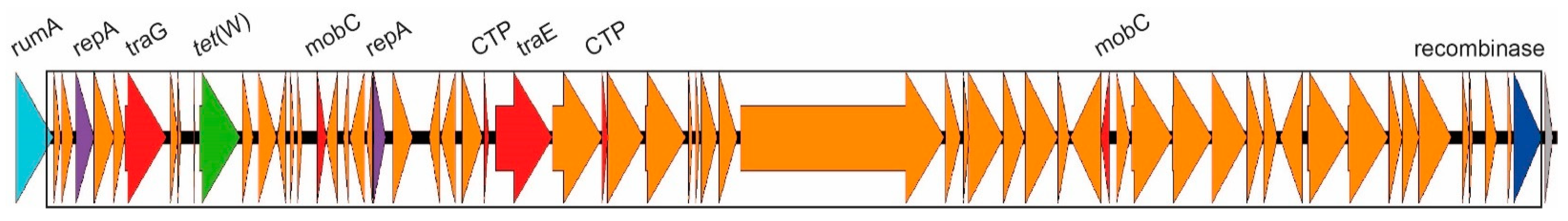 Antibiotics 12 00544 g001