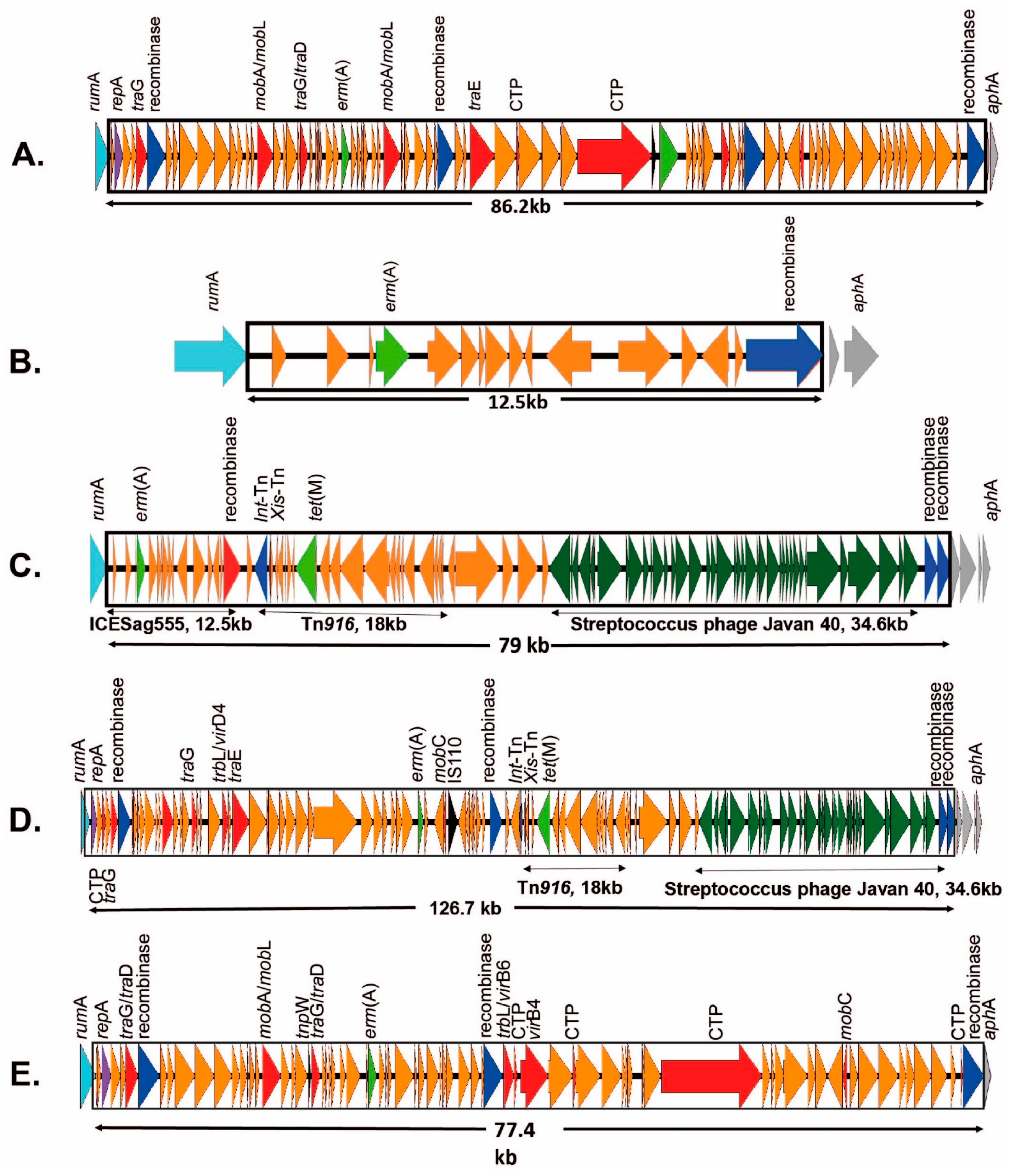 Antibiotics 12 00544 g003