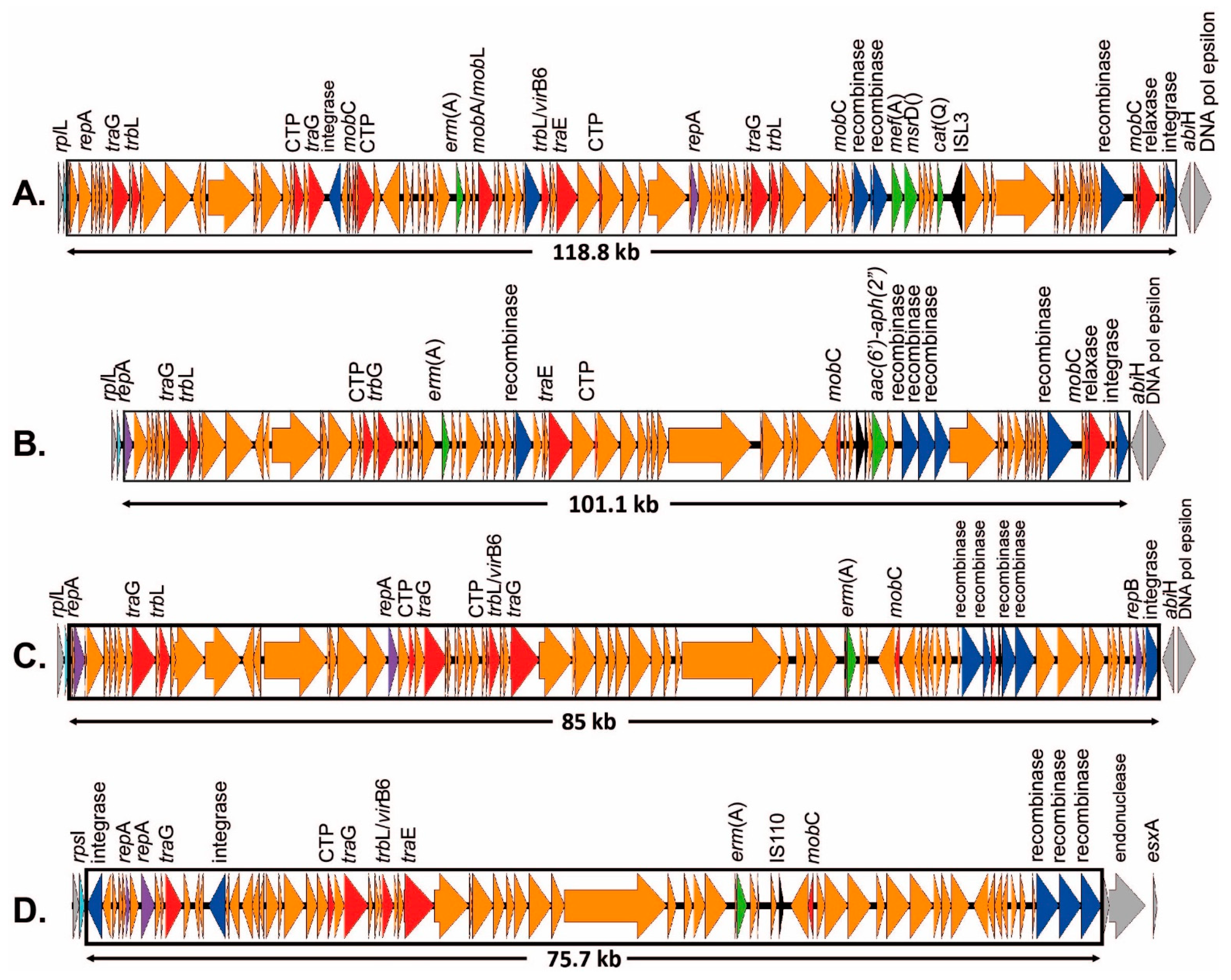 Antibiotics 12 00544 g004