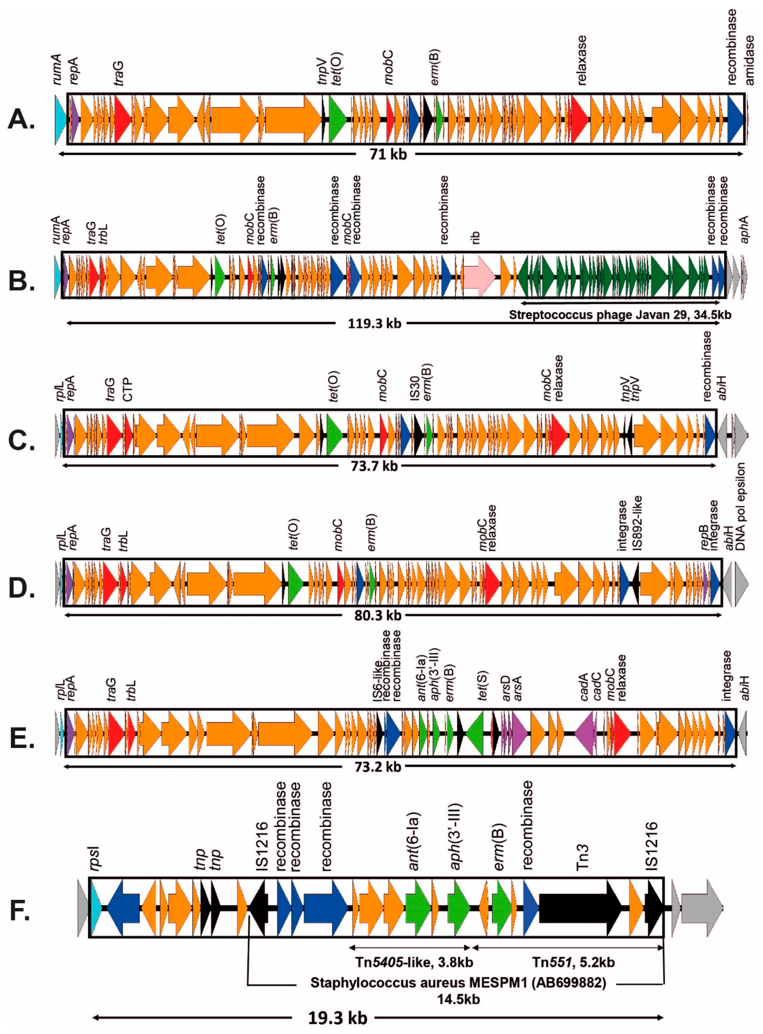 Antibiotics 12 00544 g005