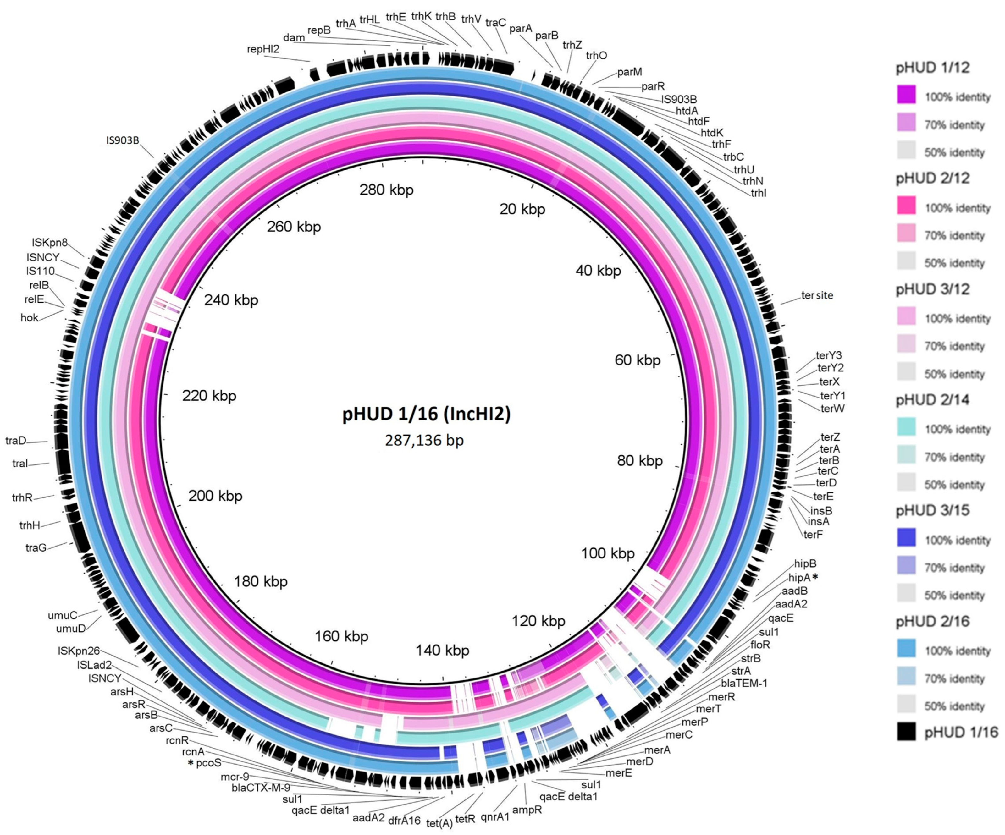 Antibiotics 12 00547 g001