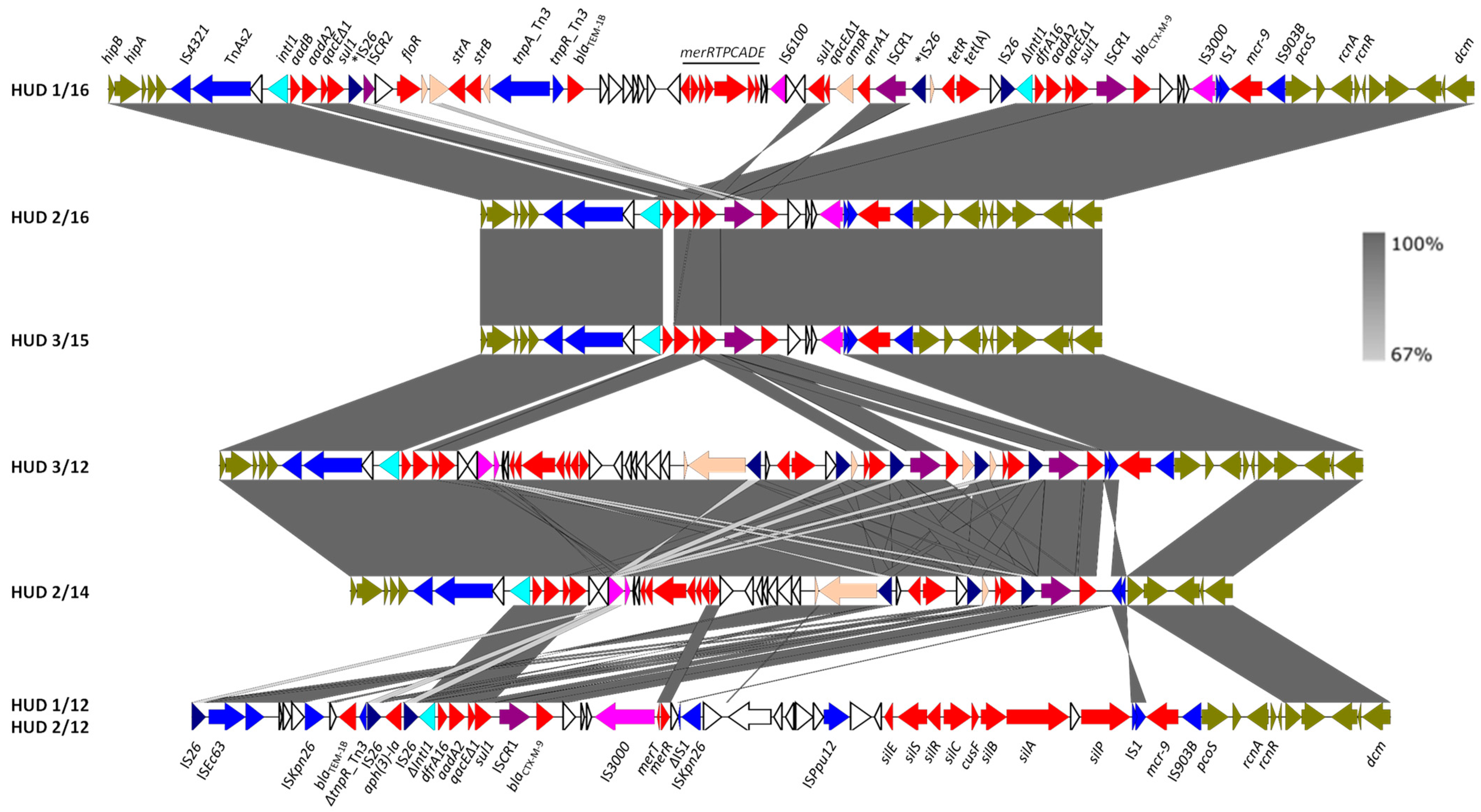 Antibiotics 12 00547 g002