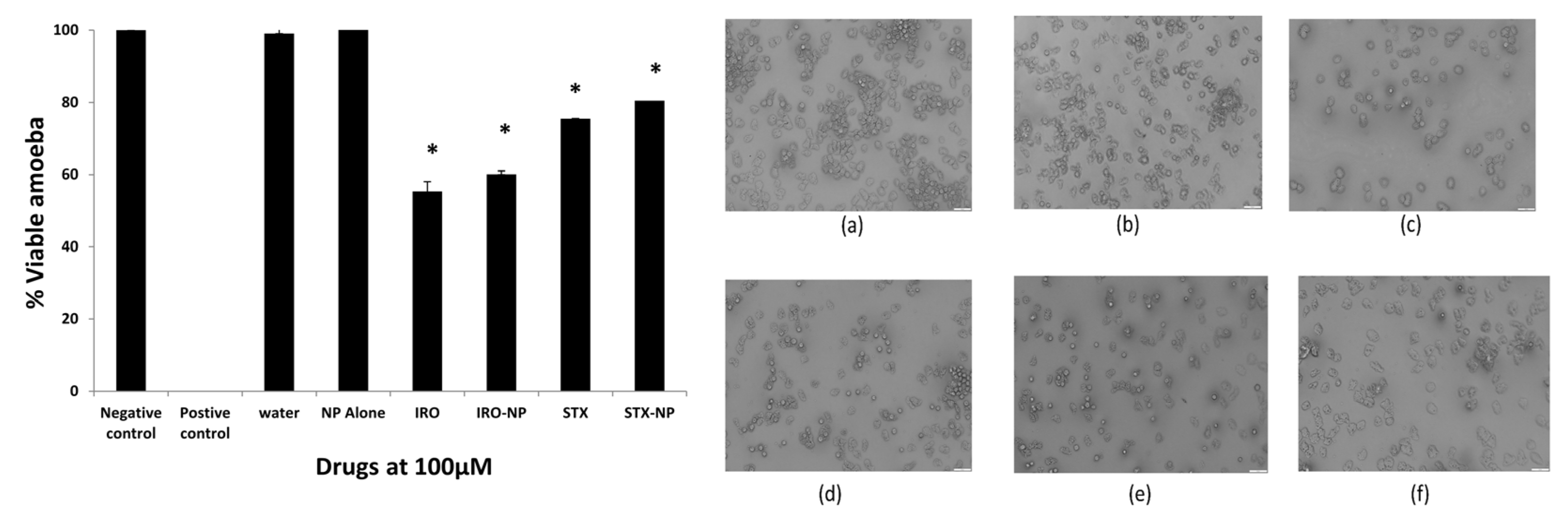 Antibiotics 12 00561 g005