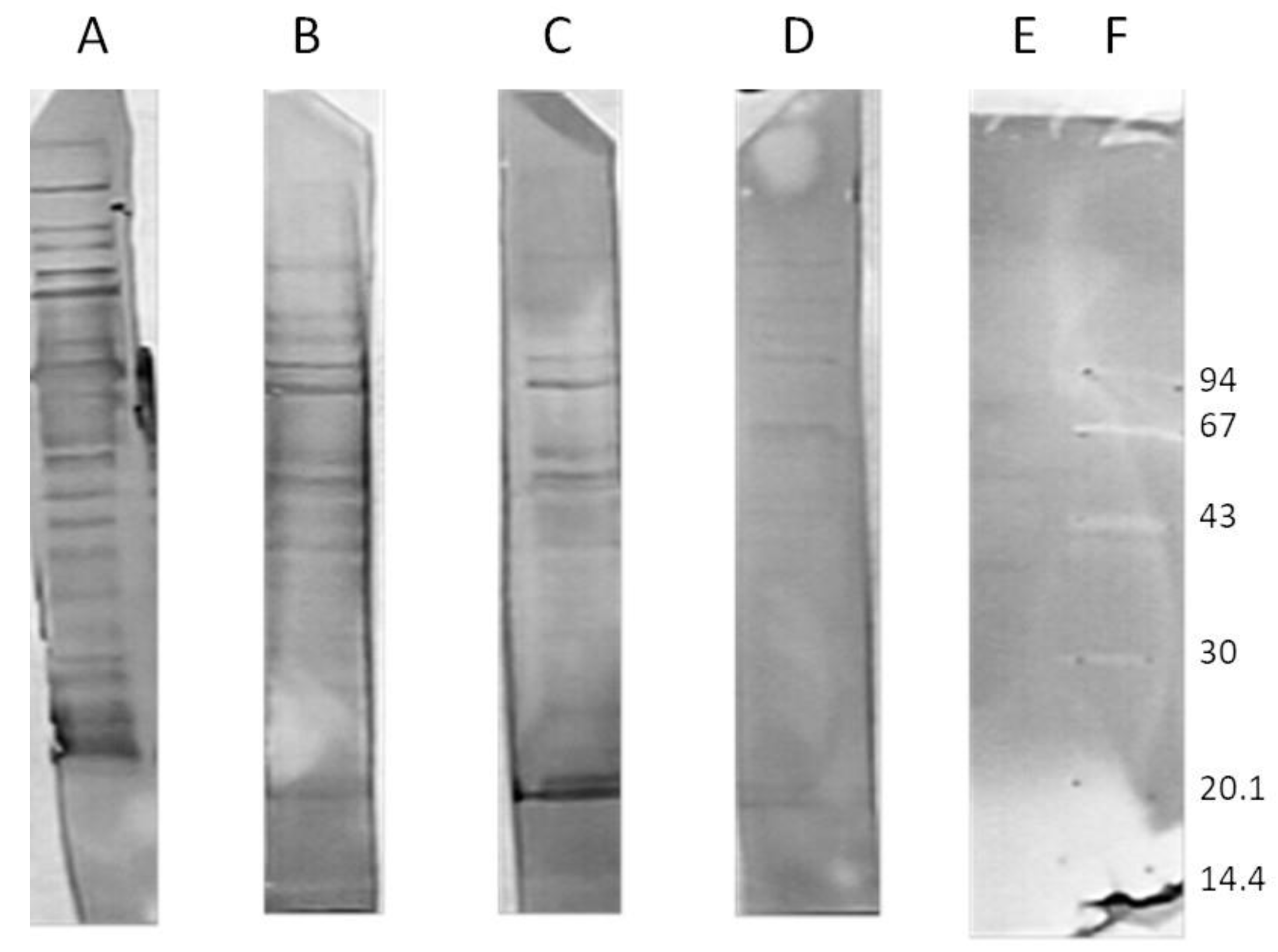 Antibiotics 12 00586 g001