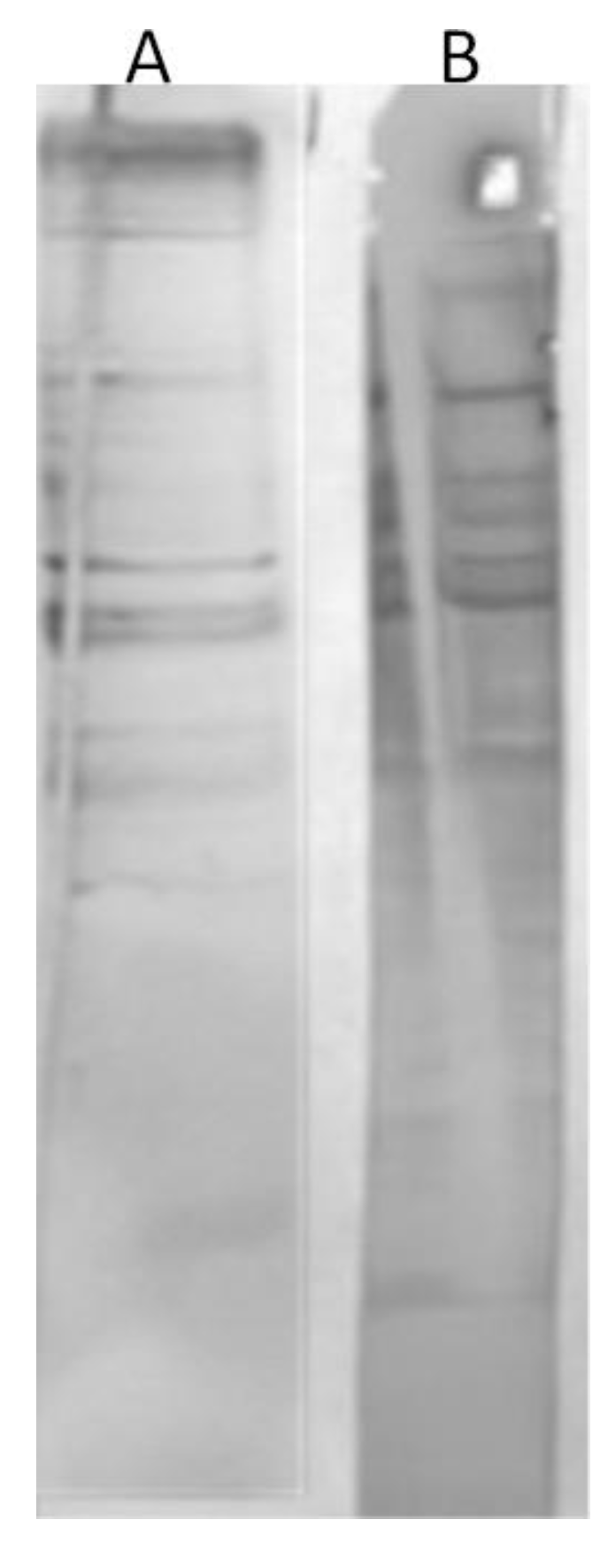 Antibiotics 12 00586 g002