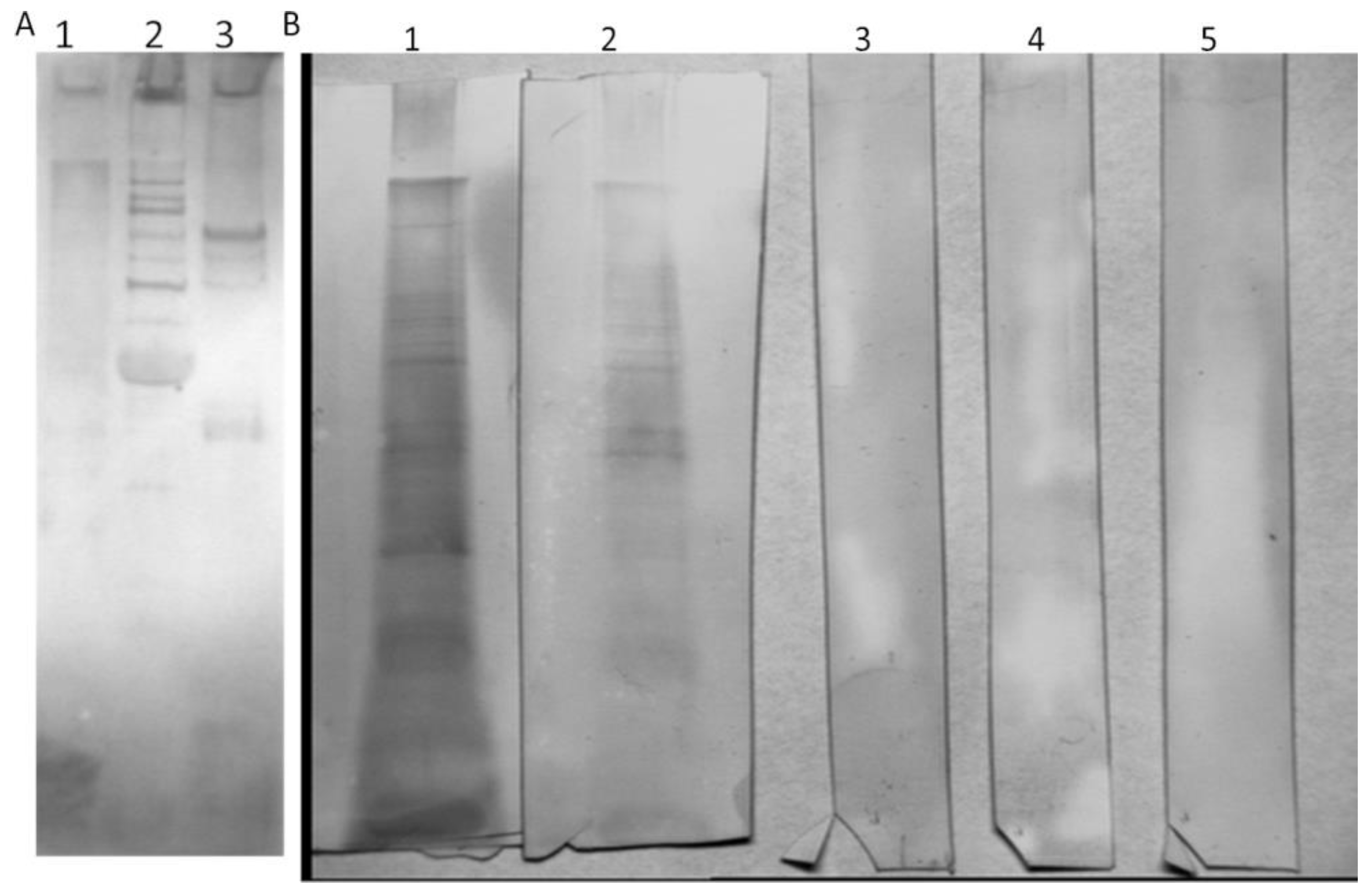 Antibiotics 12 00586 g003