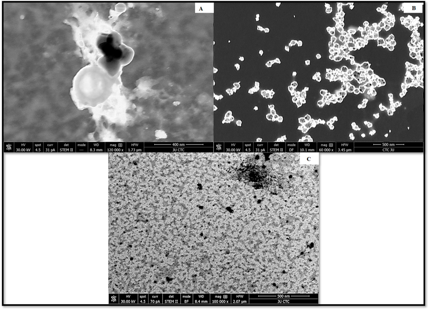 Antibiotics 12 00597 g002 Antibiotics 12 00597 g002