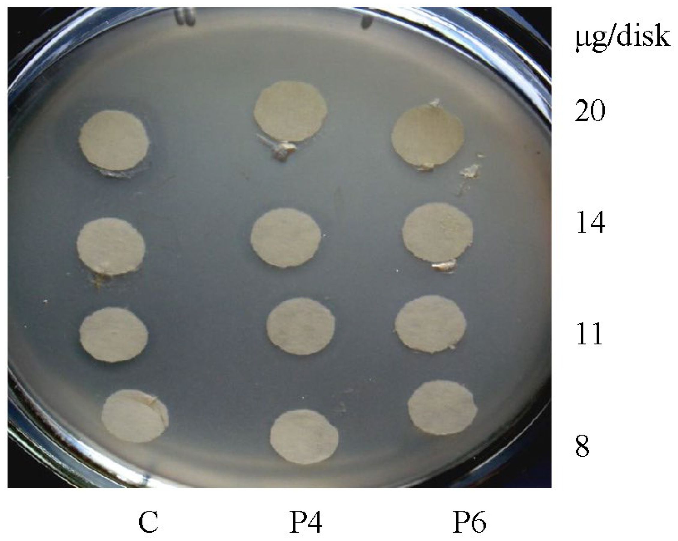 Antibiotics 12 00616 g011