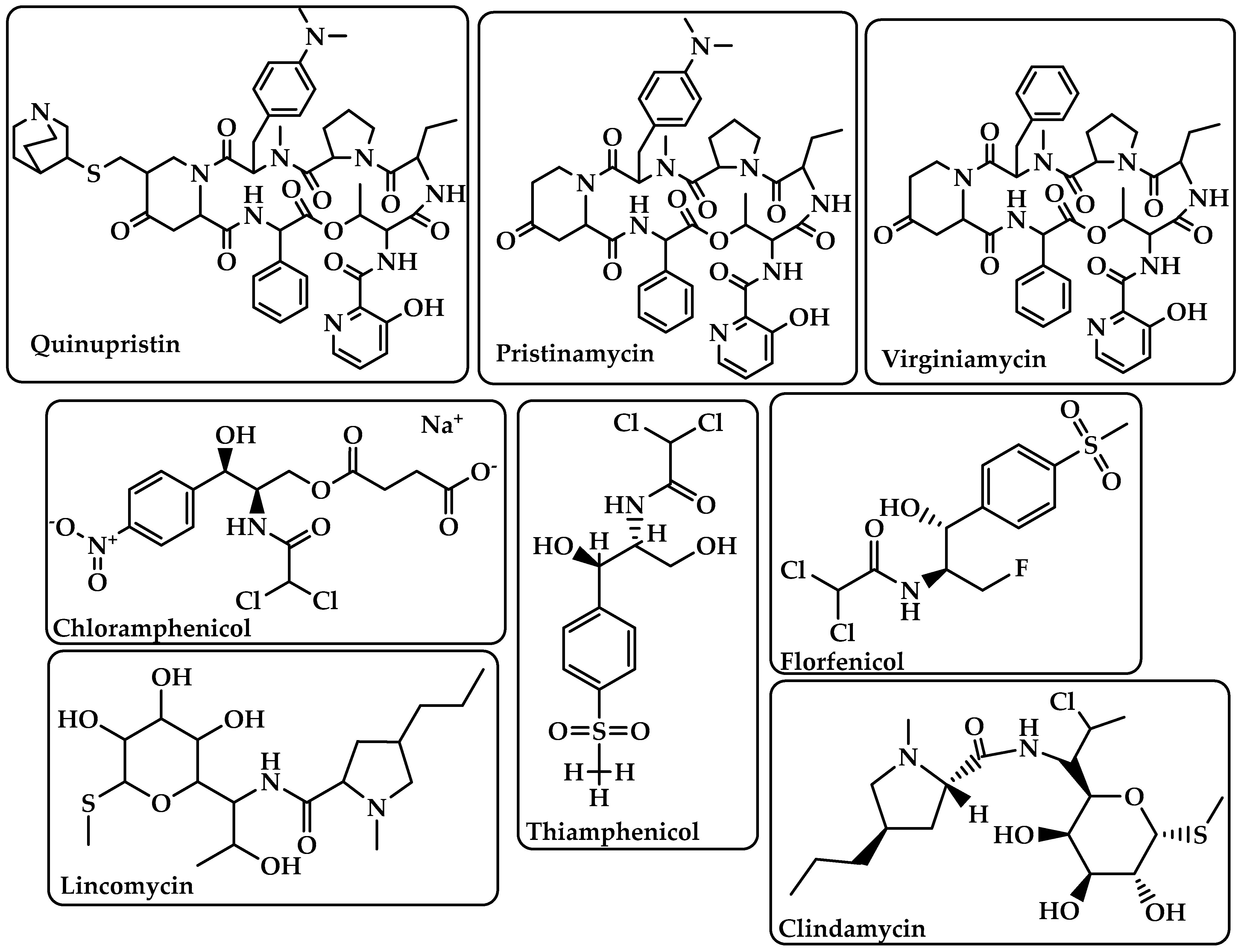 Antibiotics 12 00628 g006