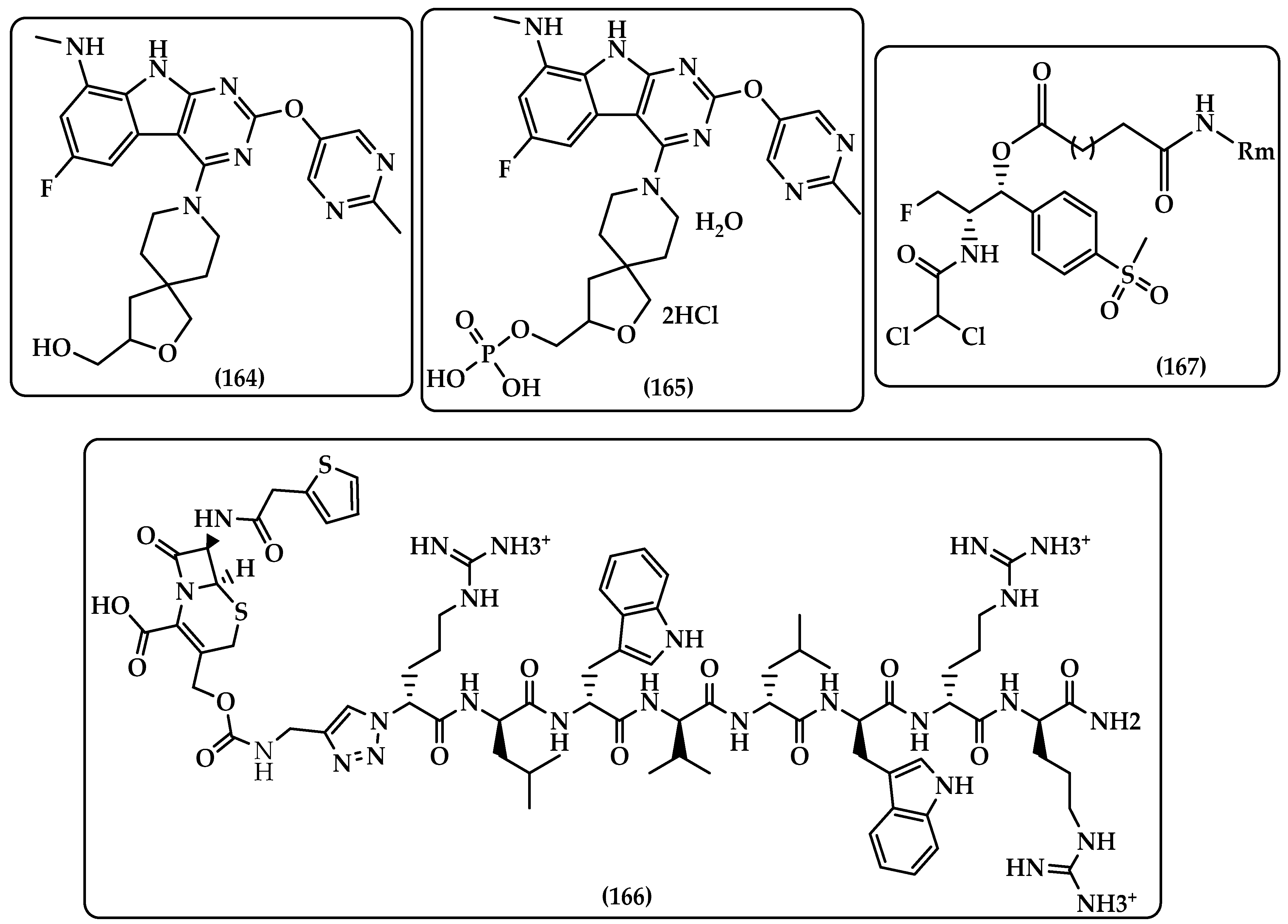 Antibiotics 12 00628 g016