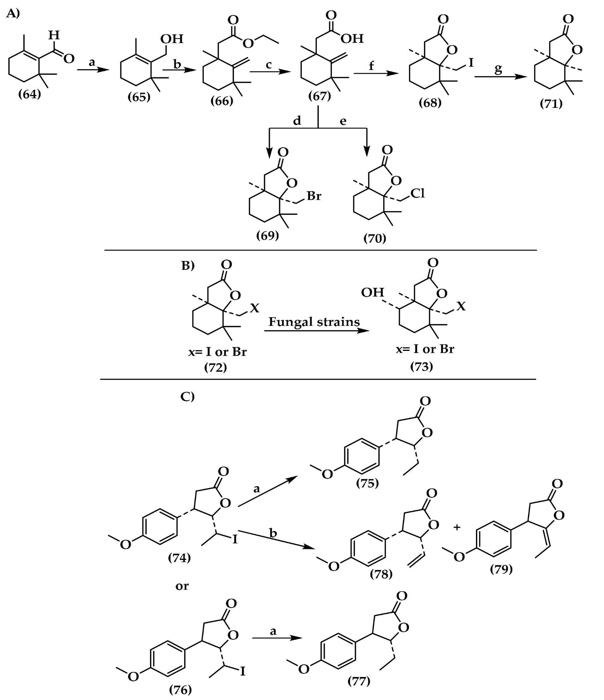 Antibiotics 12 00628 sch001