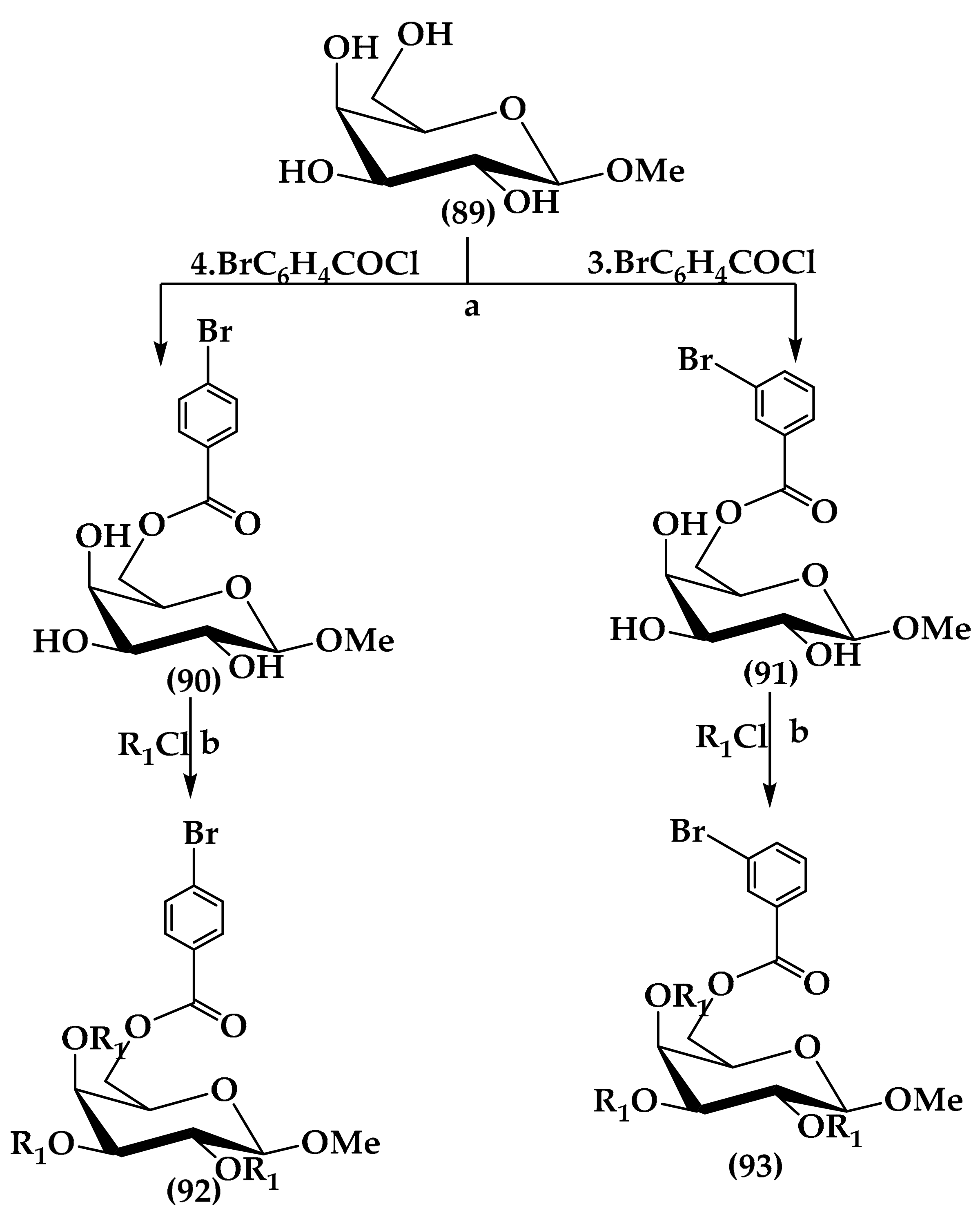 Antibiotics 12 00628 sch004