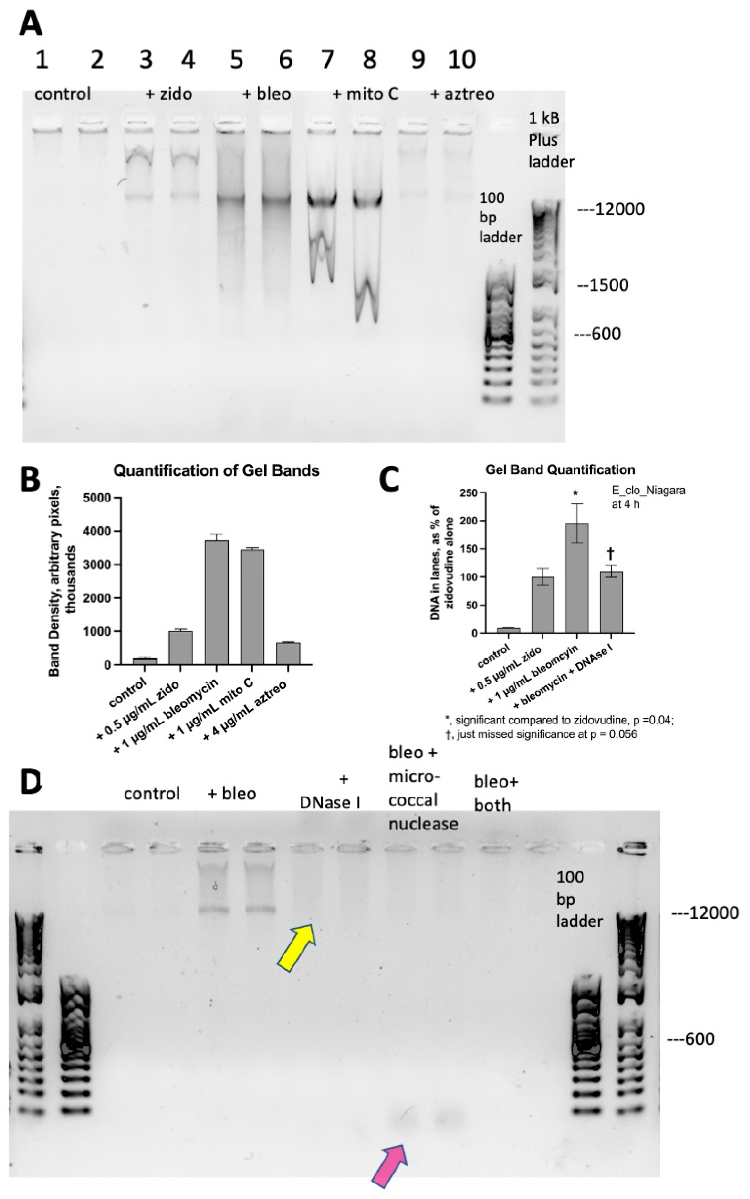 Antibiotics 12 00649 g003 Antibiotics 12 00649 g003