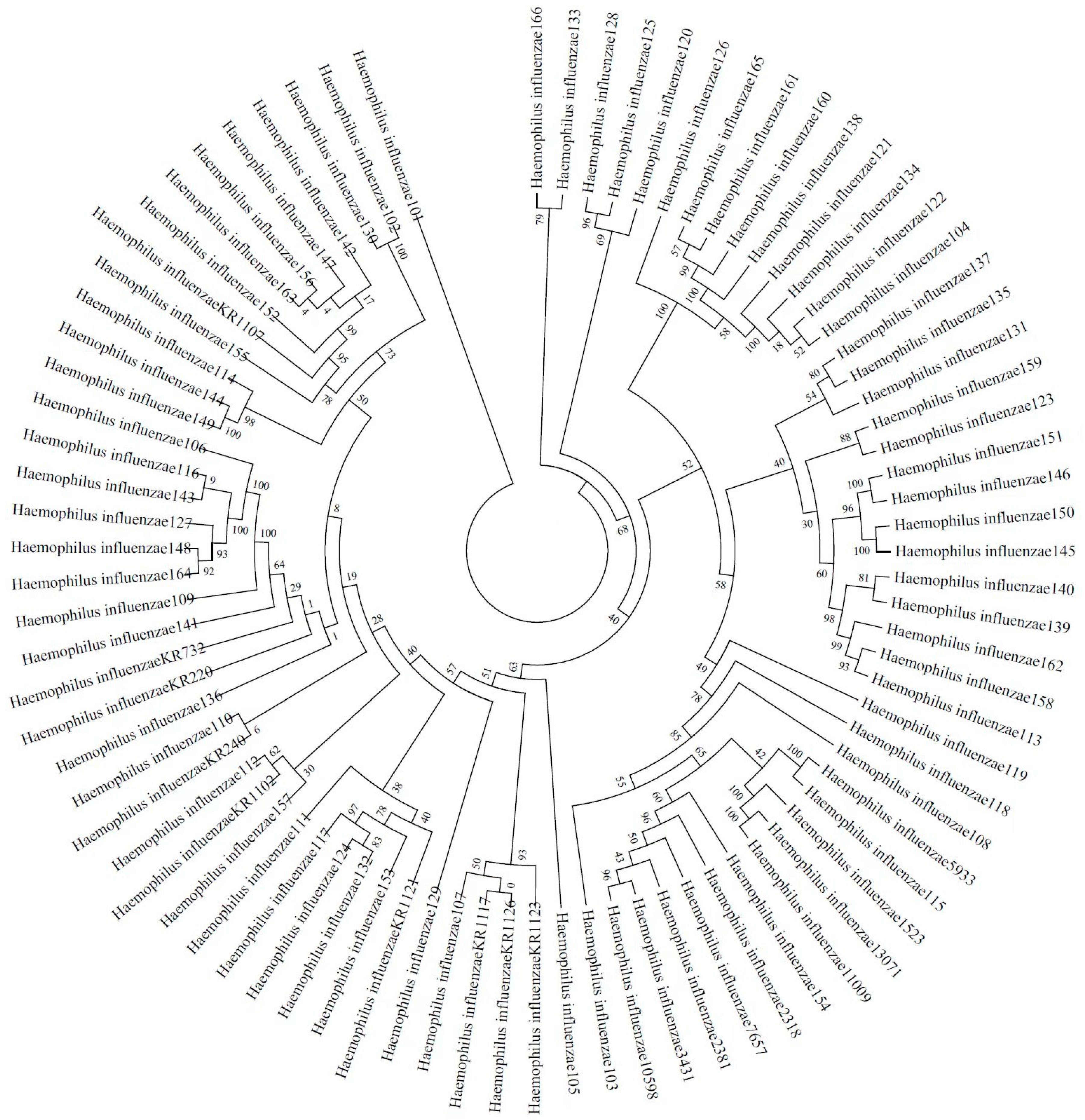 Antibiotics 12 00656 g001 Antibiotics 12 00656 g001