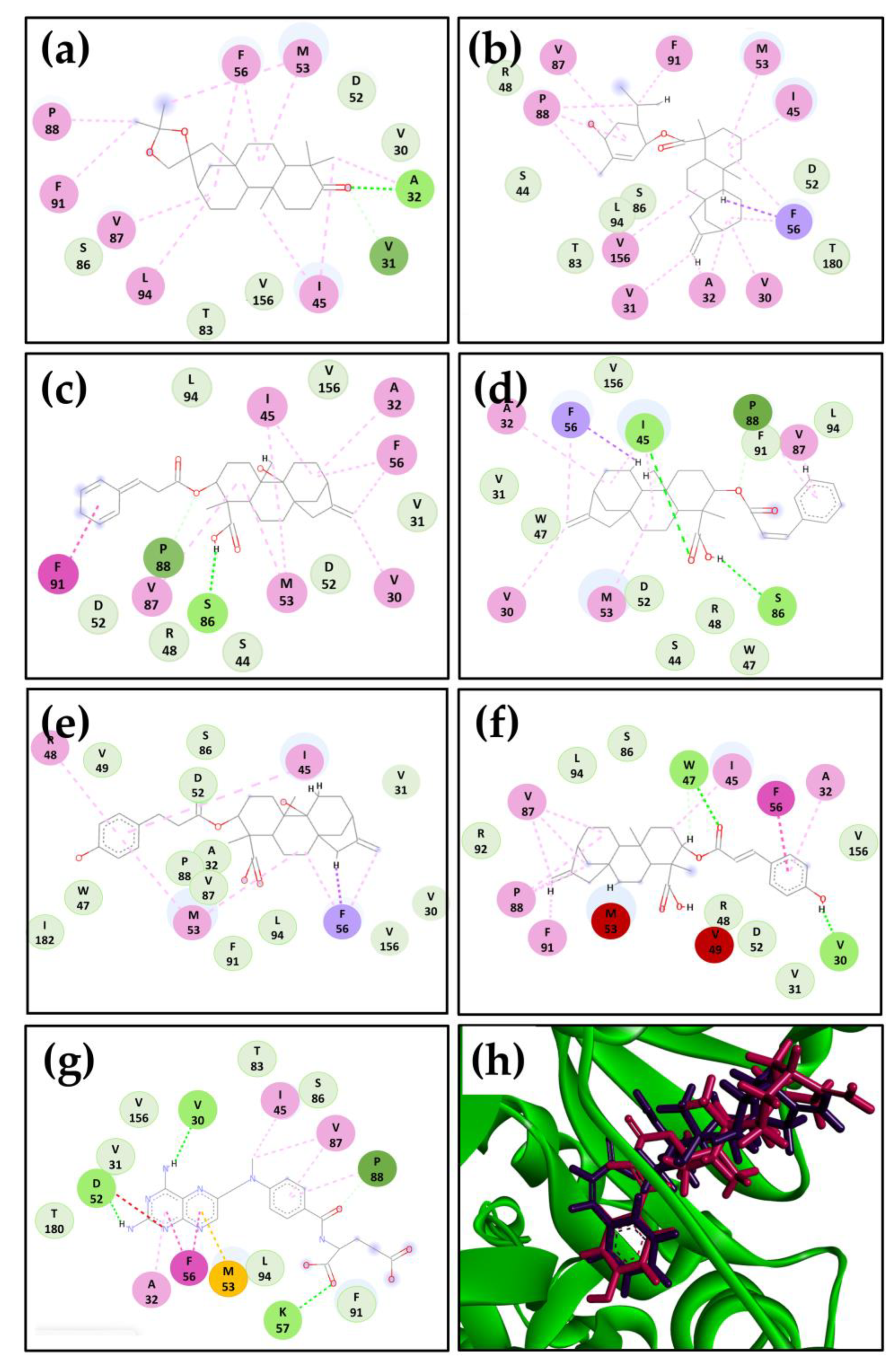 Antibiotics 12 00663 g002 Antibiotics 12 00663 g002