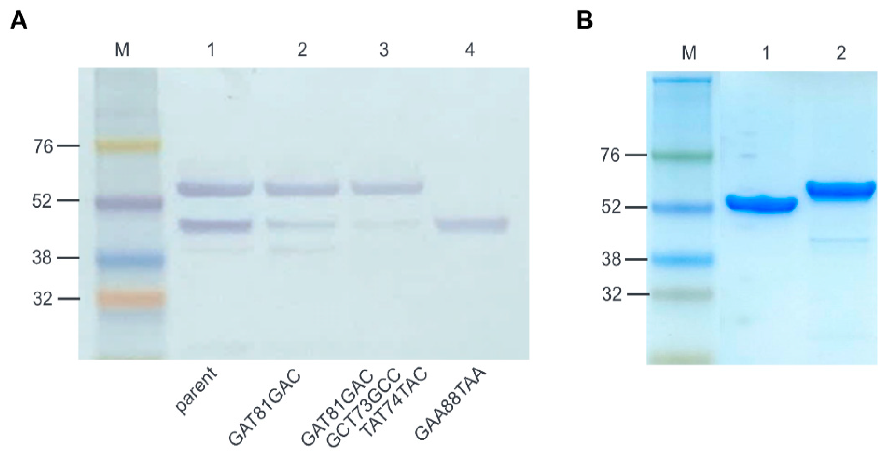 Antibiotics 12 00667 g004 Antibiotics 12 00667 g004
