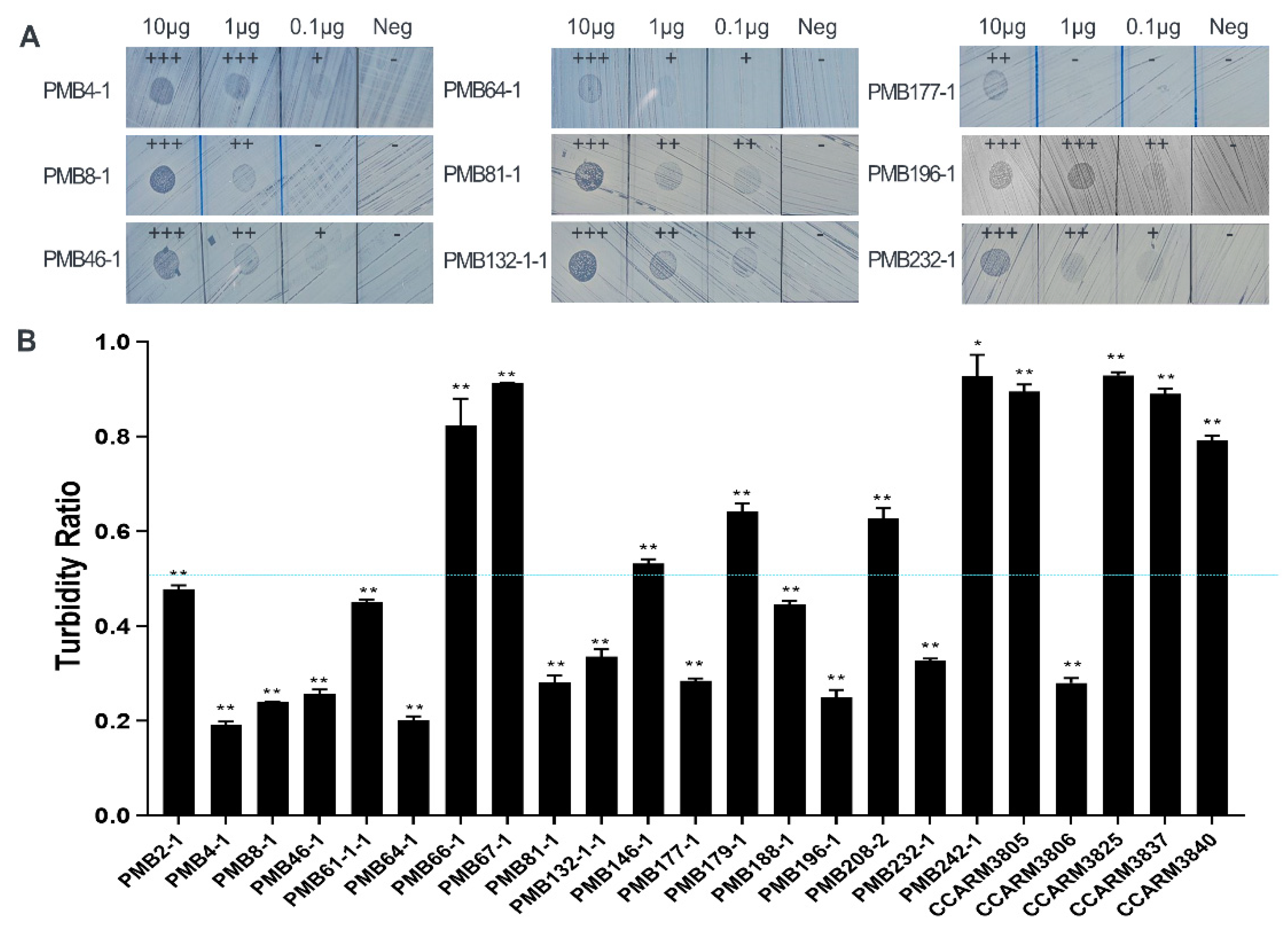 Antibiotics 12 00667 g005 Antibiotics 12 00667 g005