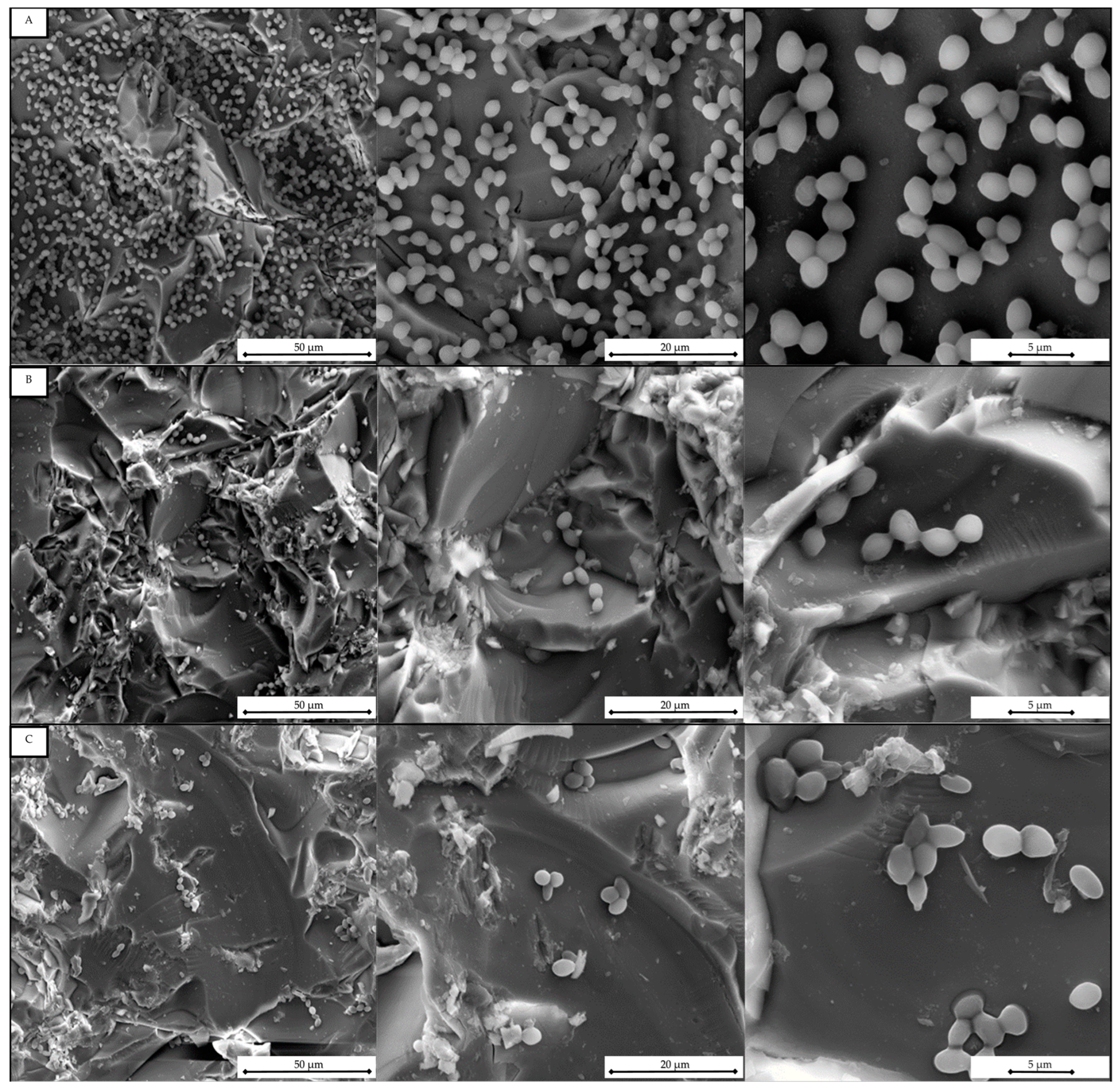 Antibiotics 12 00668 g003 Antibiotics 12 00668 g003