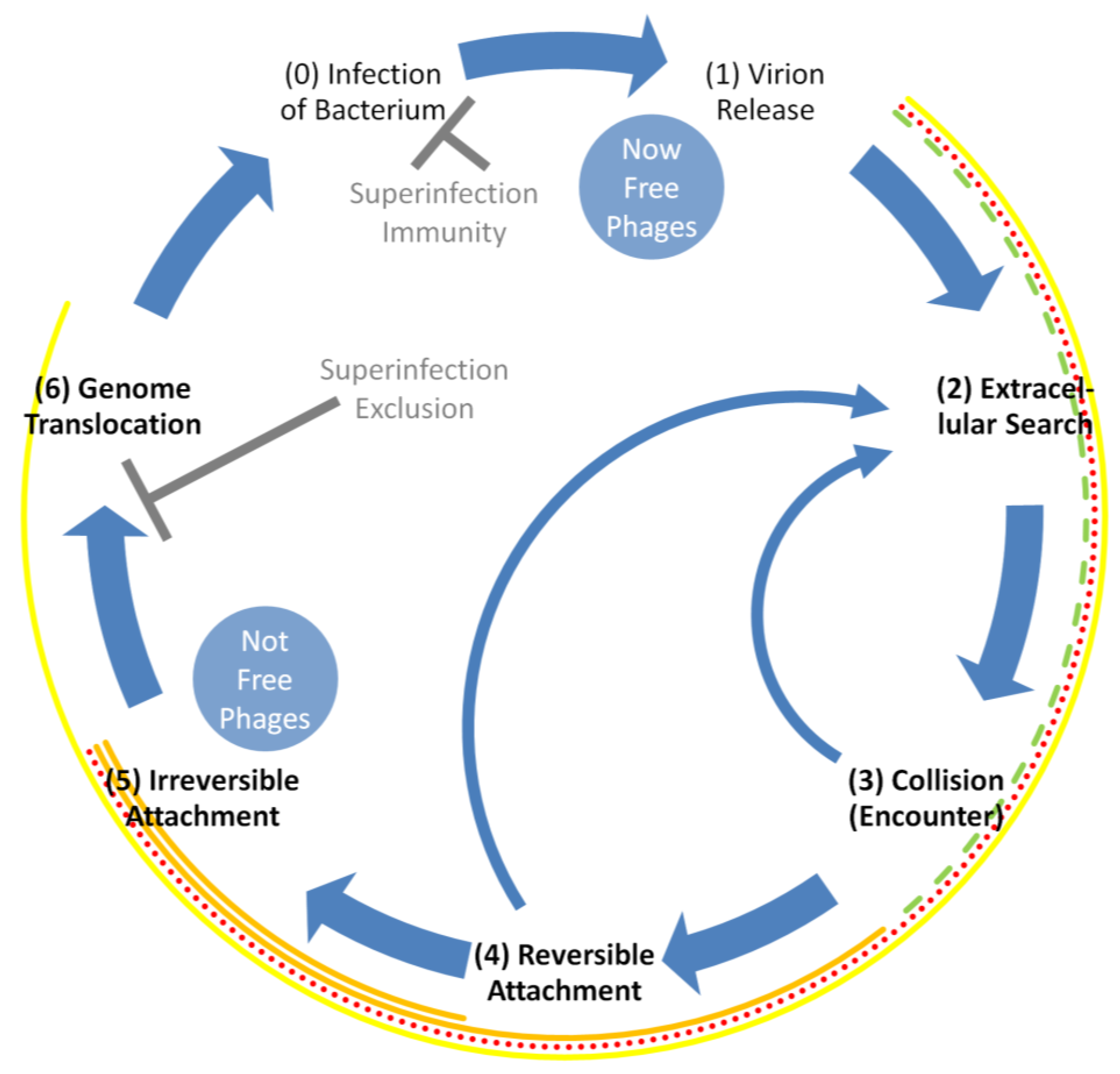 Antibiotics 12 00723 g002