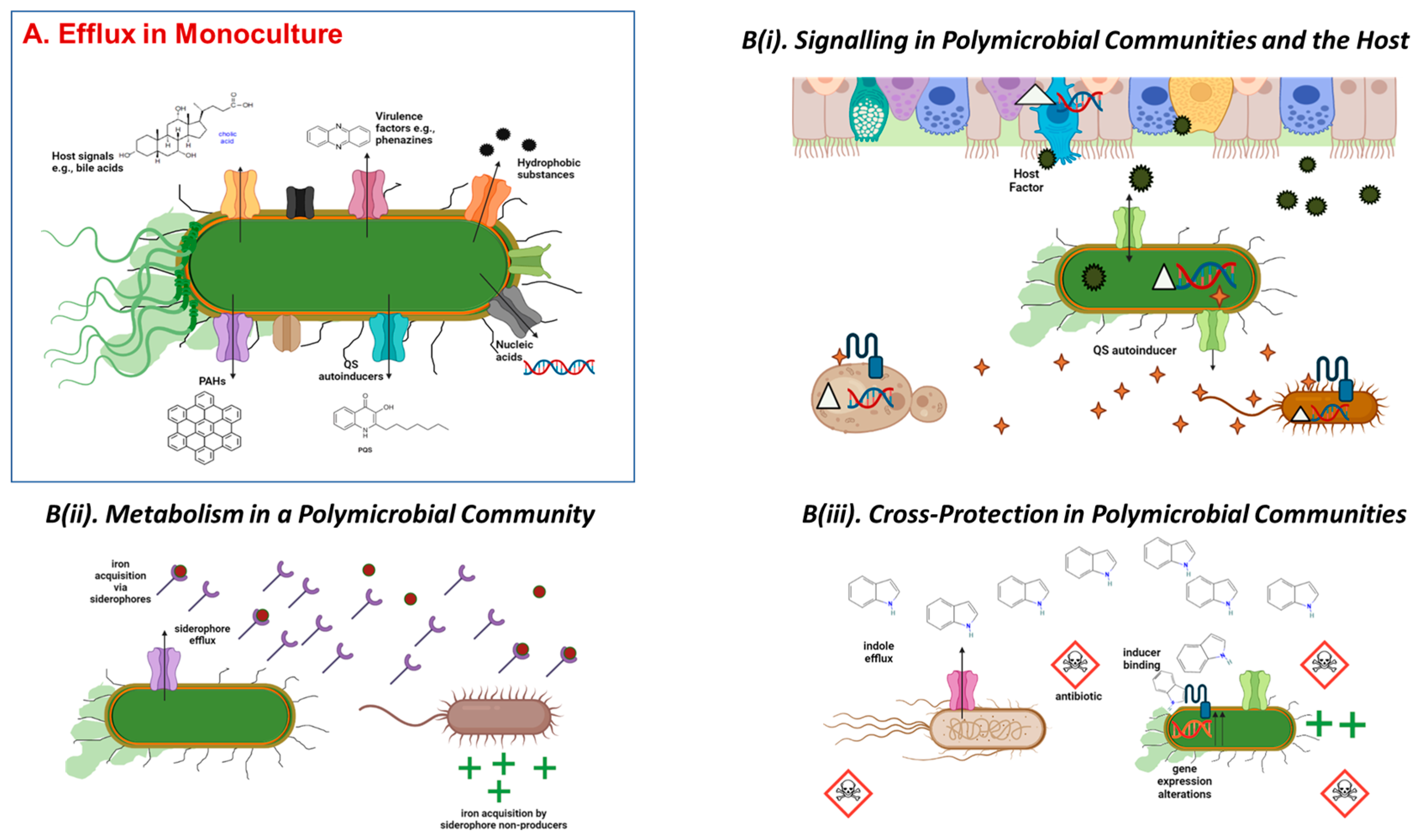 Antibiotics 12 00731 g001