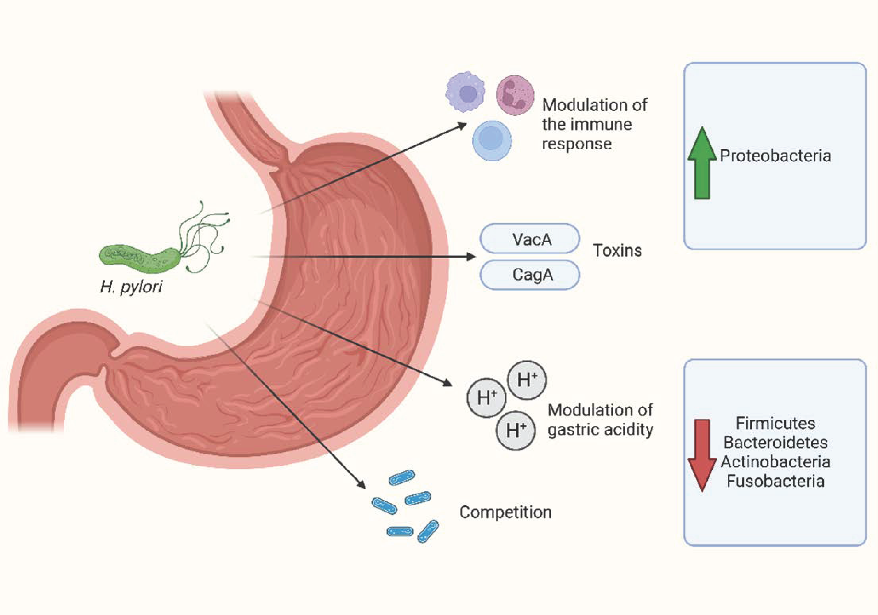 Antibiotics 12 00765 g001 Antibiotics 12 00765 g001