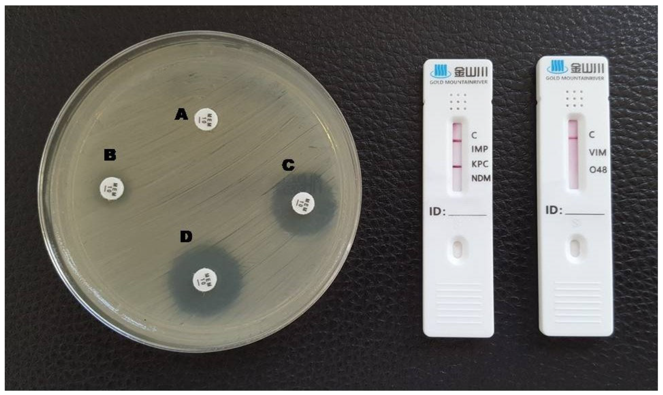 Antibiotics 12 00771 g001