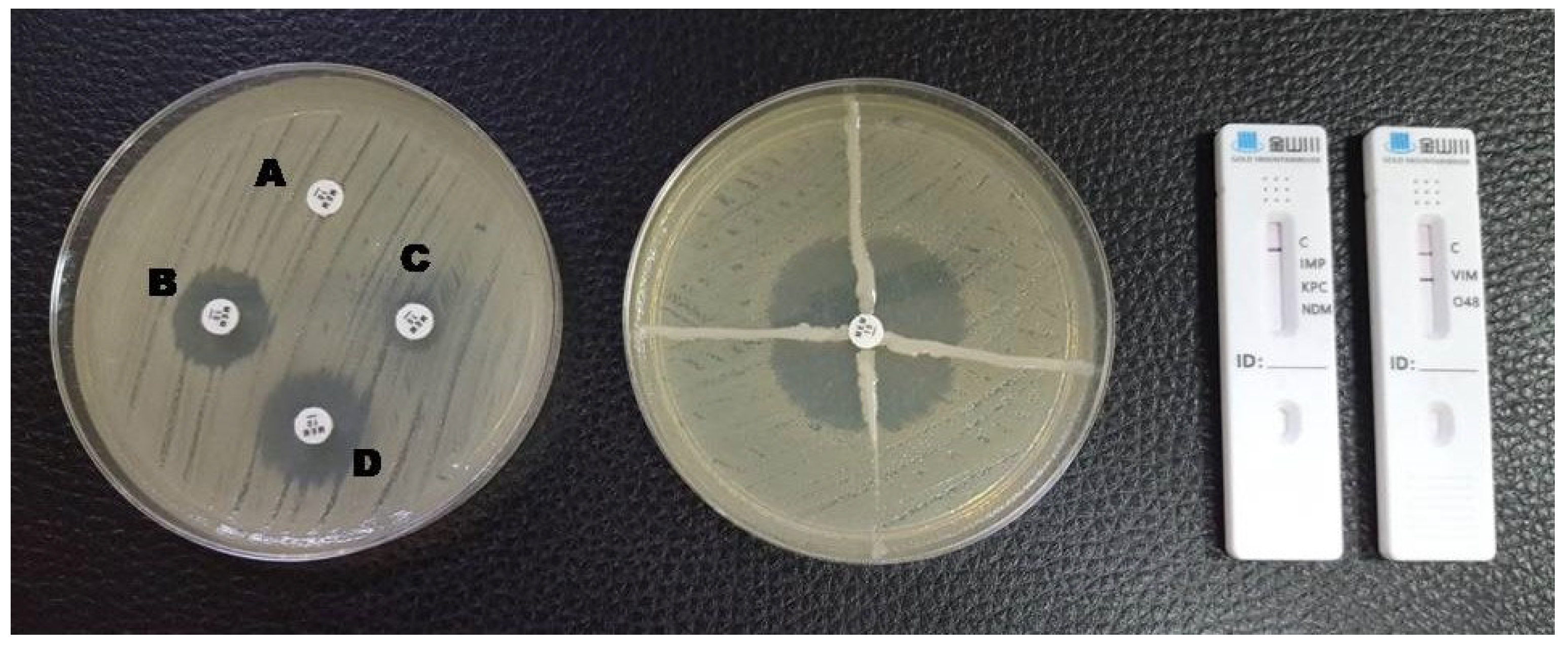 Antibiotics 12 00771 g002