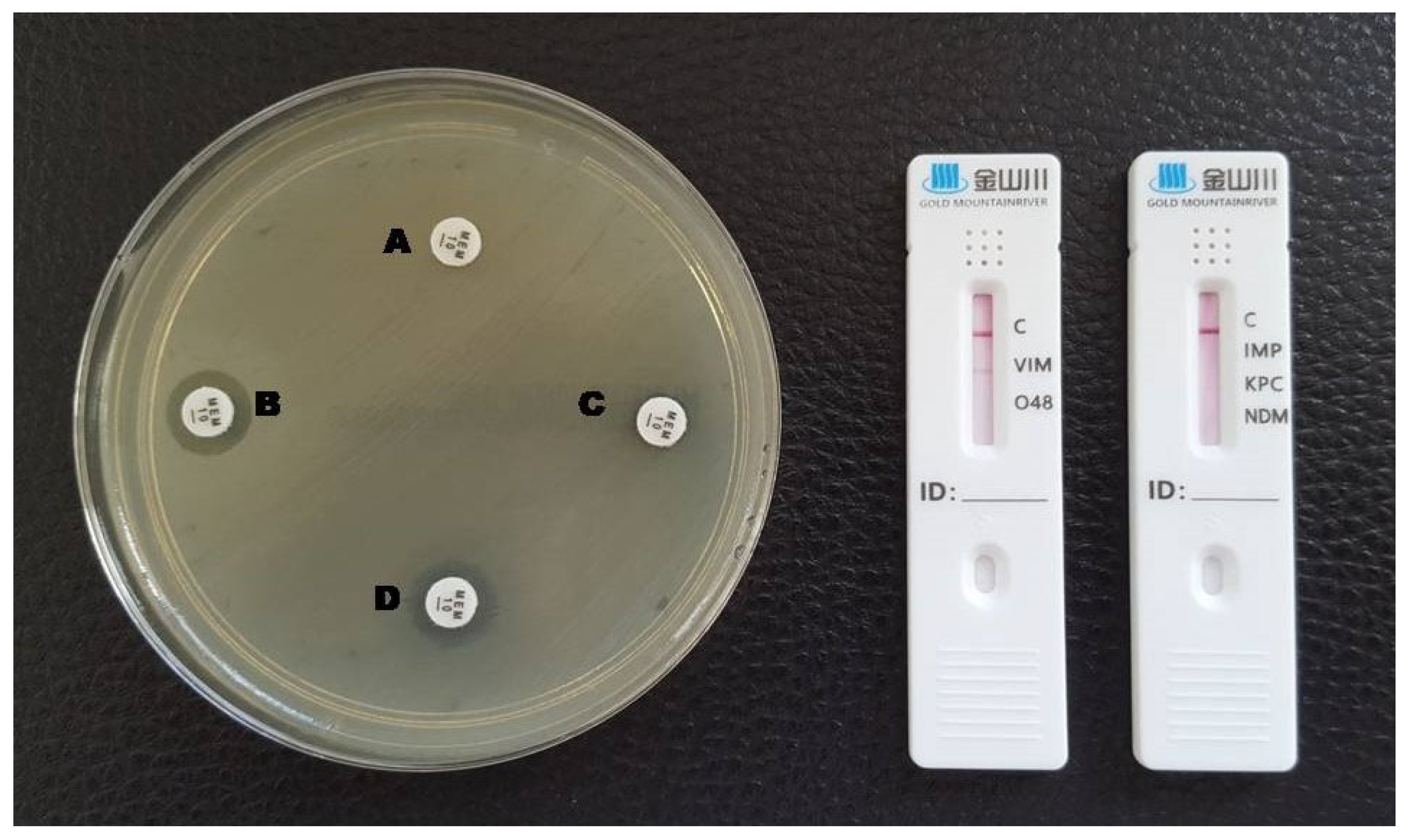 Antibiotics 12 00771 g005