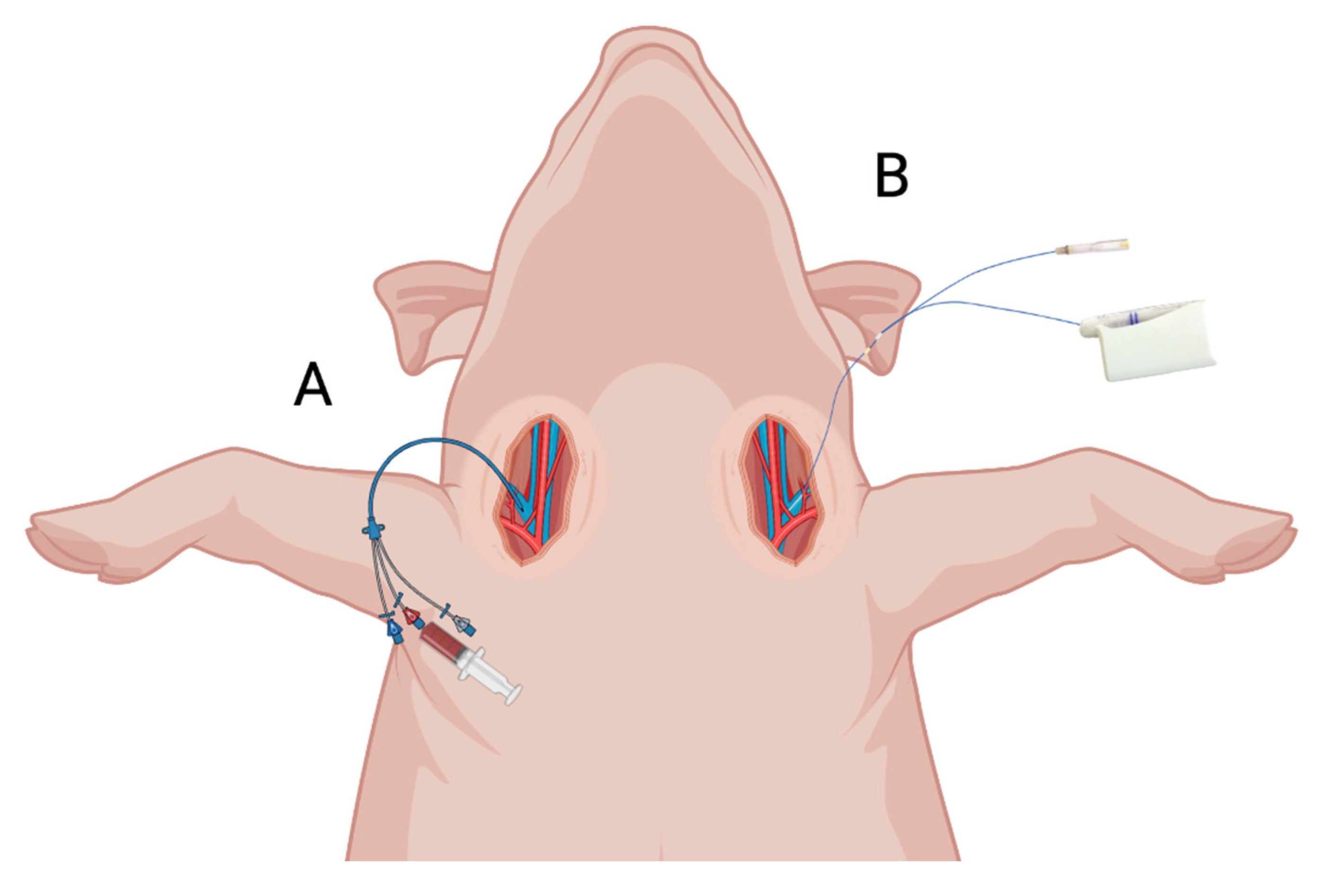 Antibiotics 12 00791 g003