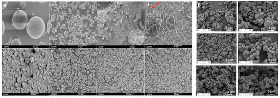 Antibiotics 12 00822 g008