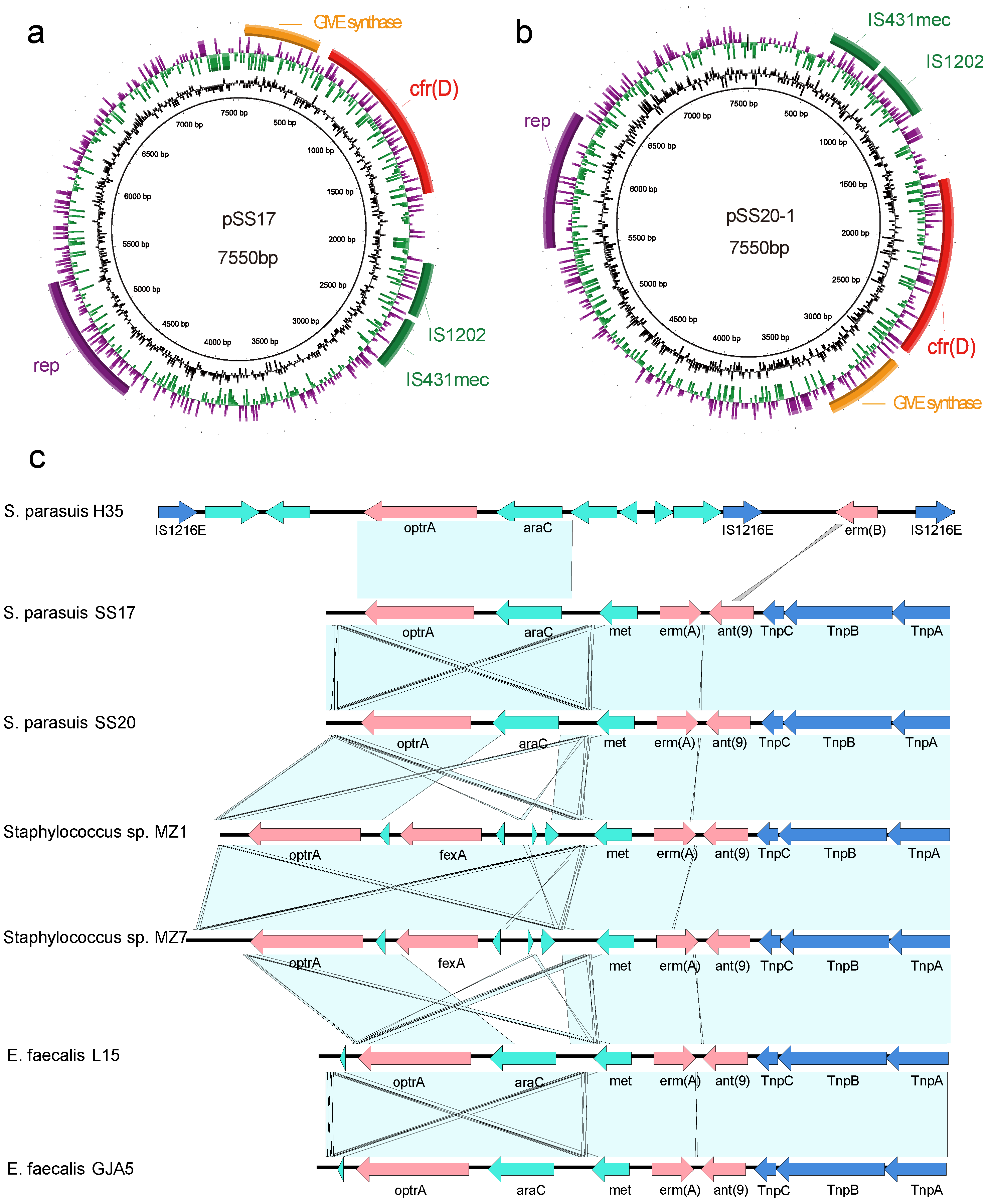 Antibiotics 12 00825 g001 Antibiotics 12 00825 g001