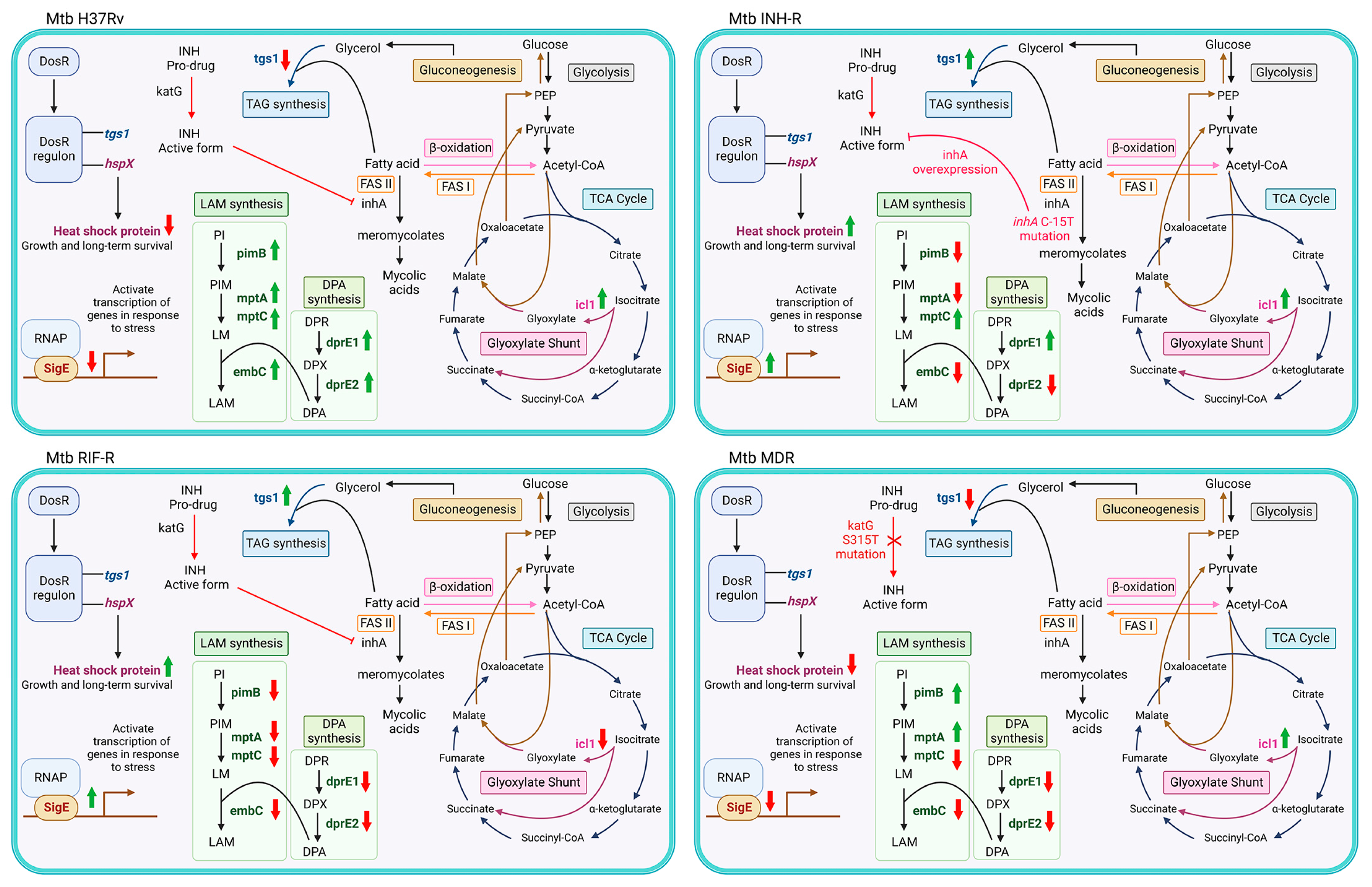 Antibiotics 12 00852 g007 Antibiotics 12 00852 g007