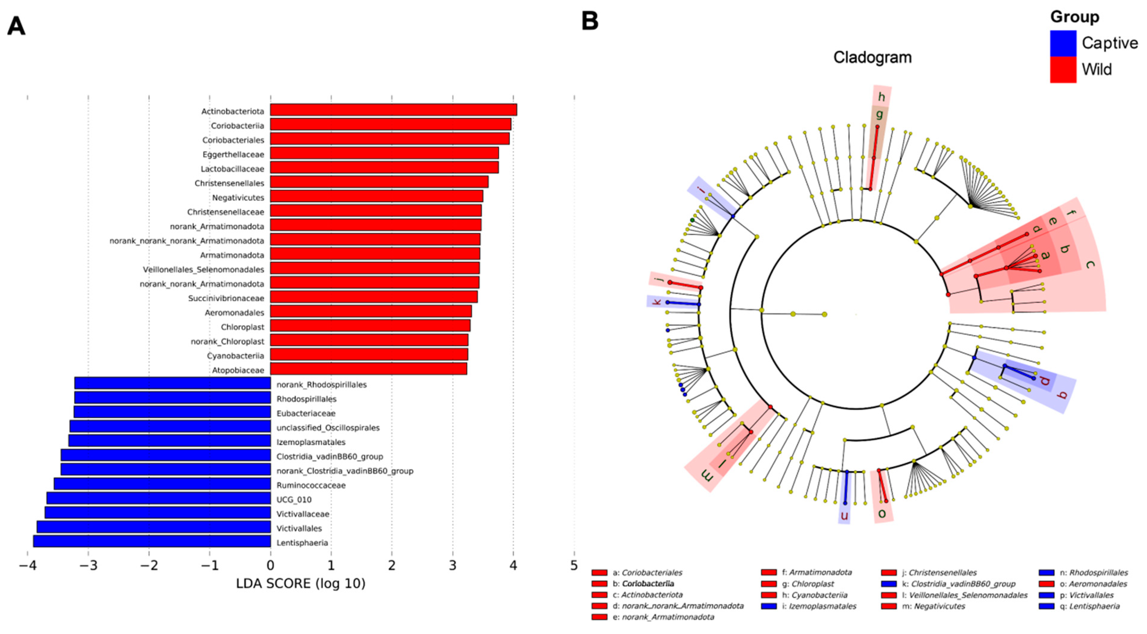 Antibiotics 12 00859 g002