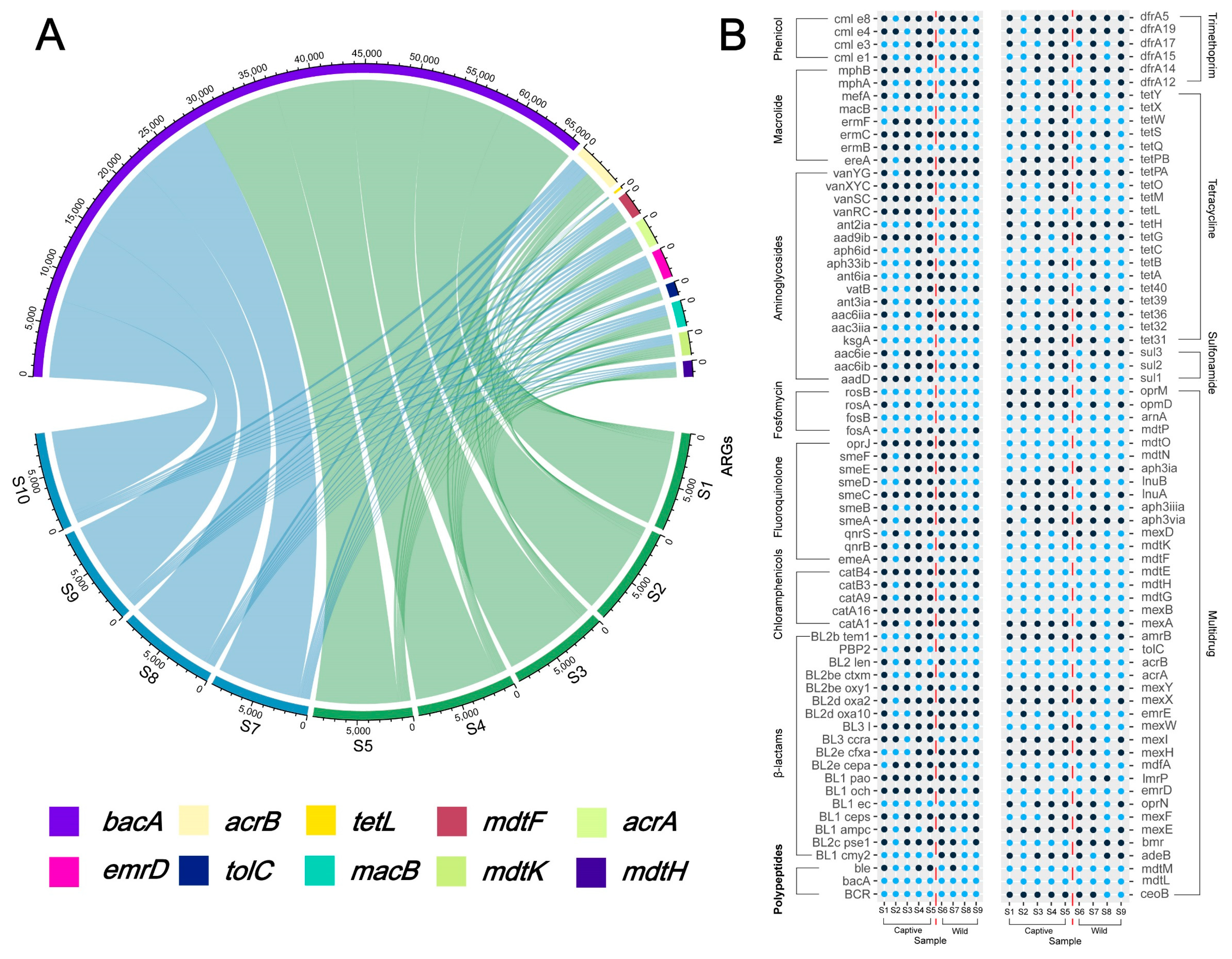 Antibiotics 12 00859 g004
