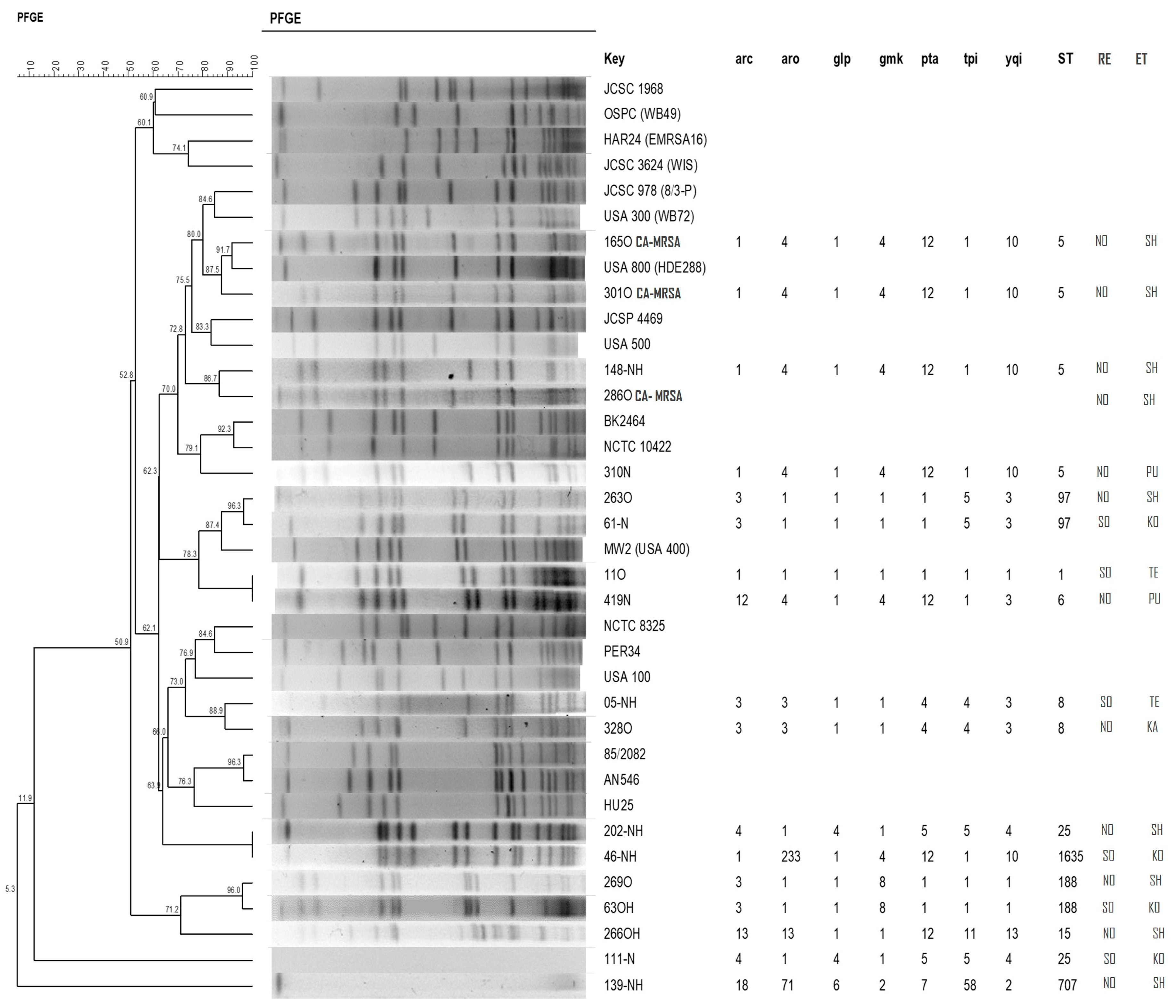 Antibiotics 12 00862 g001