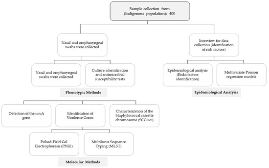 Antibiotics 12 00862 g0a1