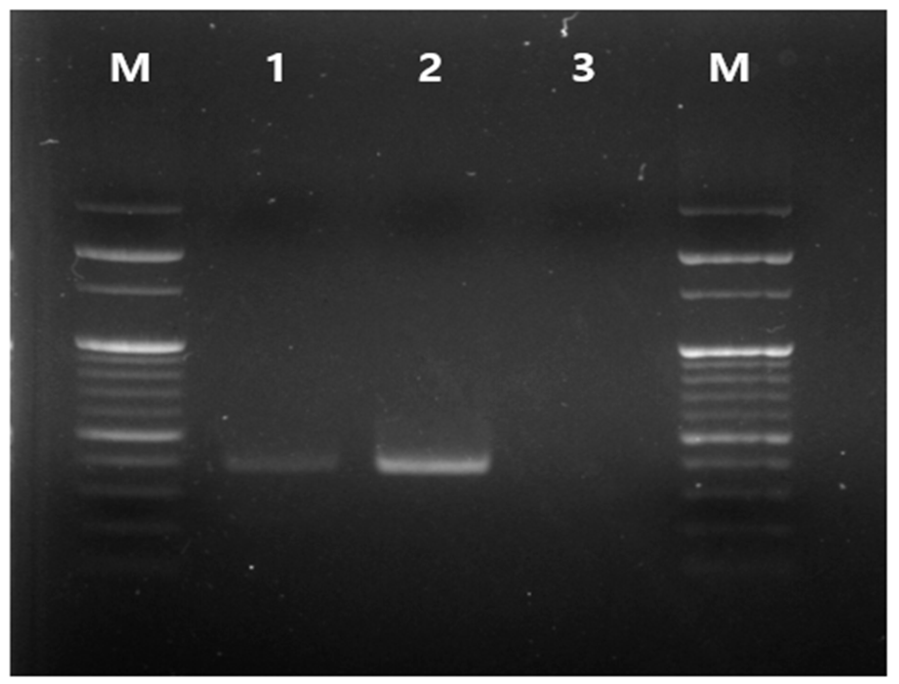 Antibiotics 12 00876 g001