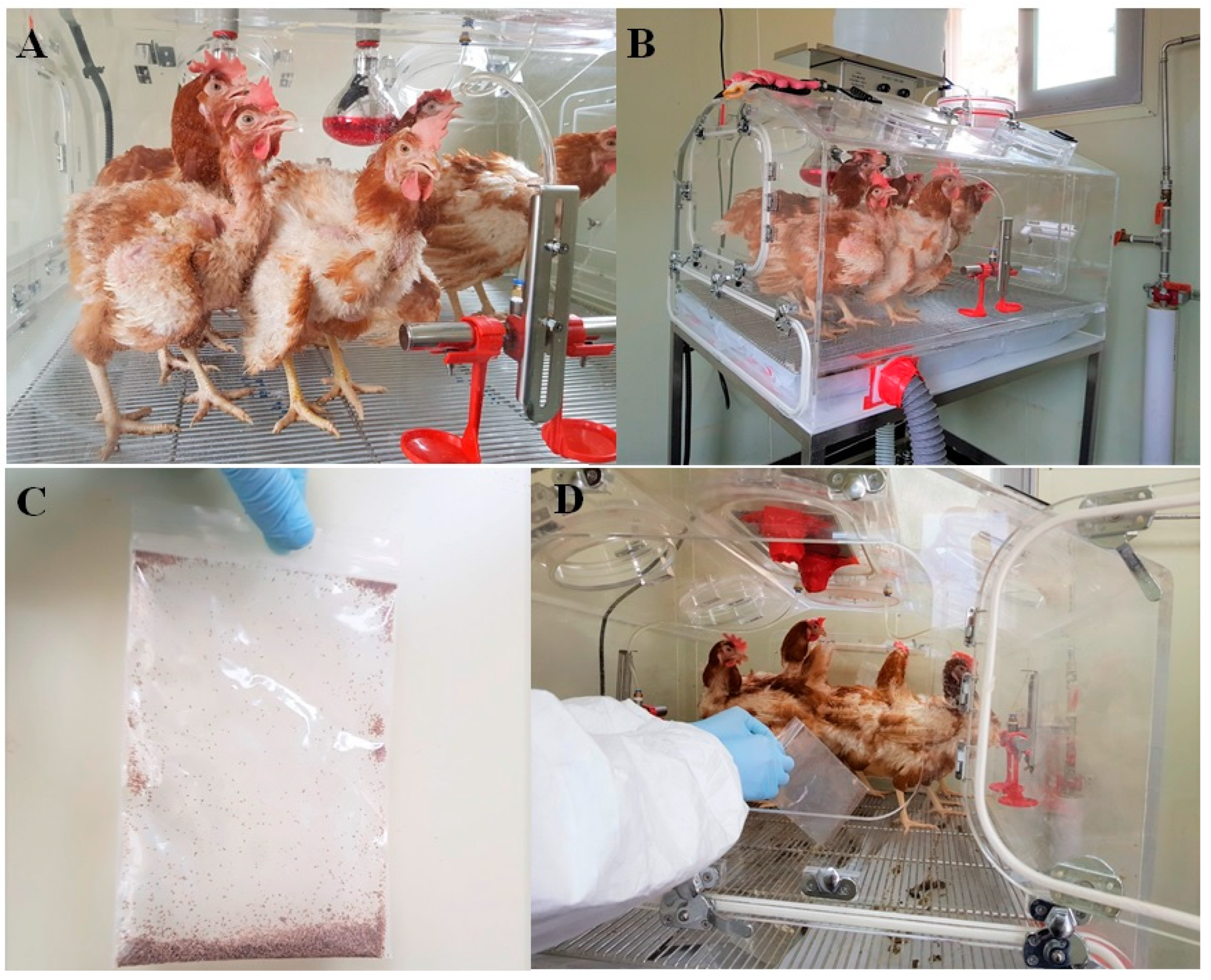 Antibiotics 12 00876 g006