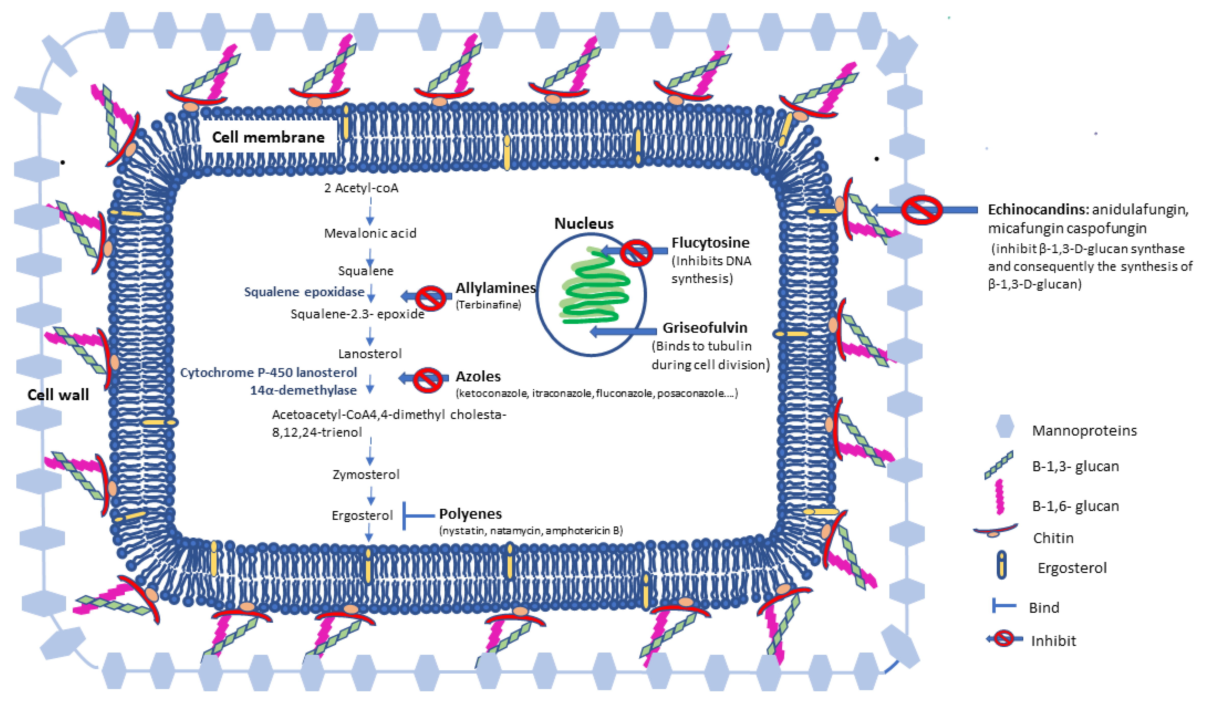 Antibiotics 12 00884 g001