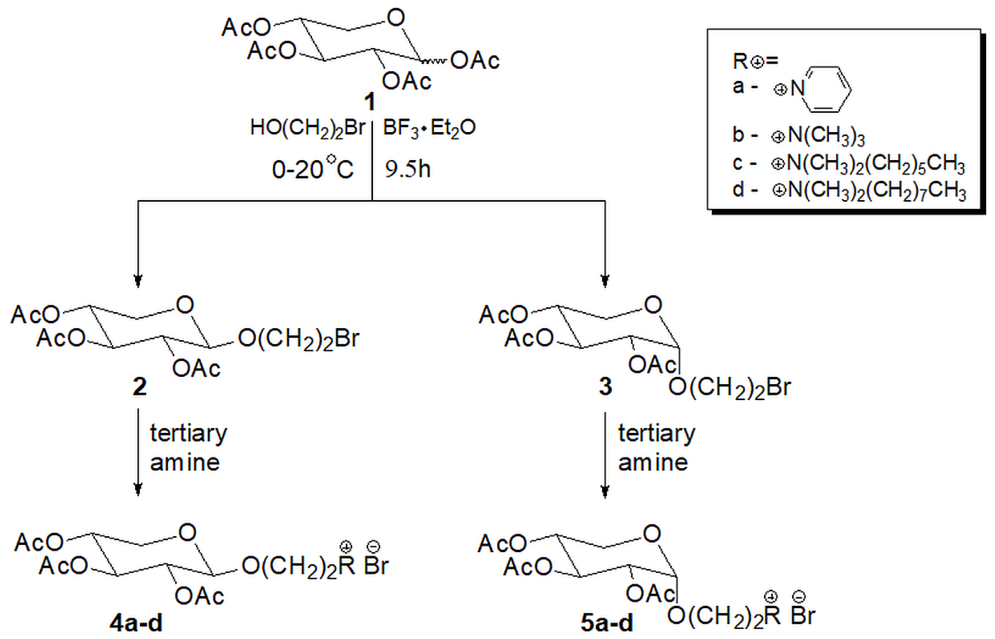 Antibiotics 12 00888 sch001