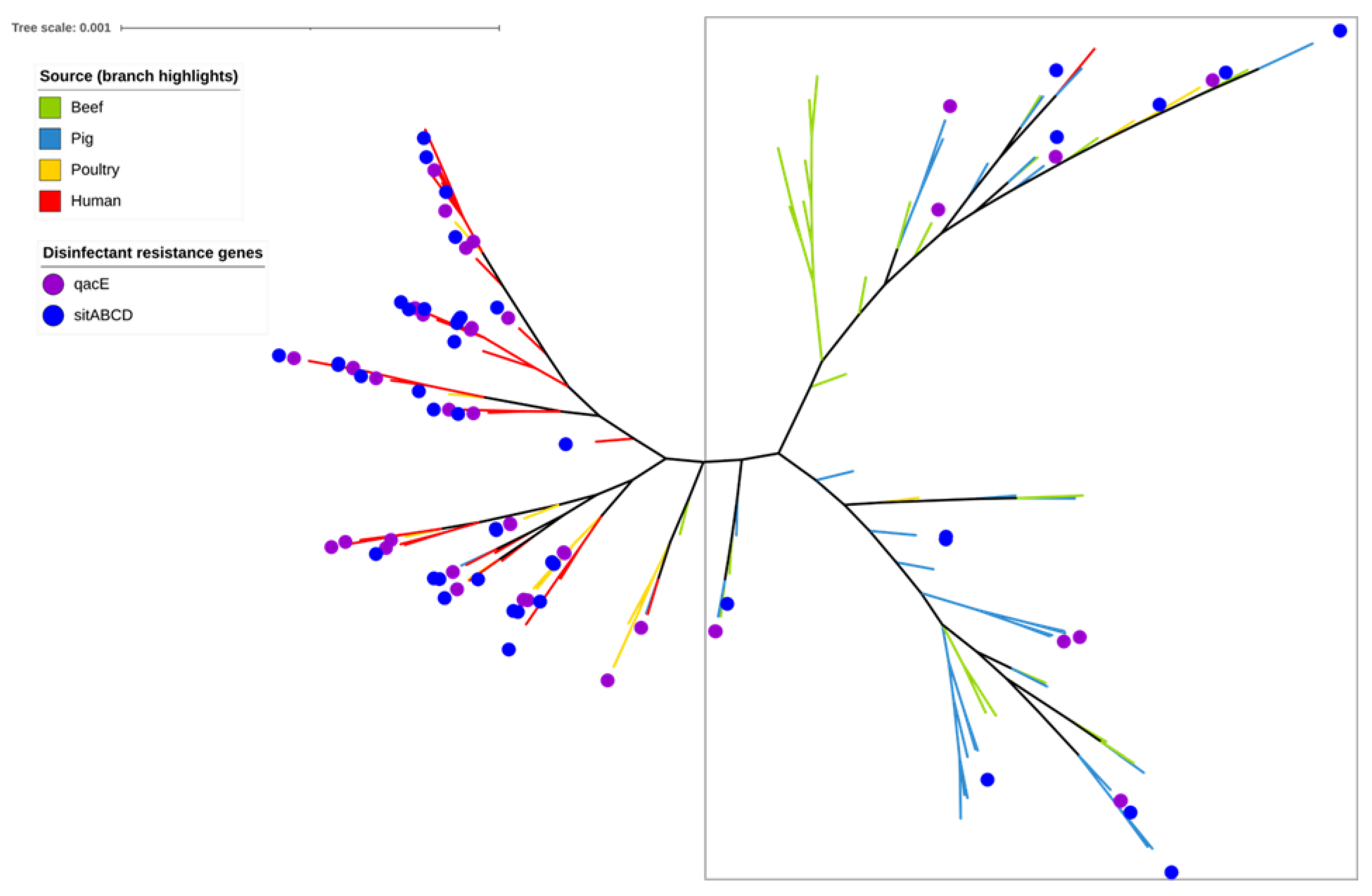 Antibiotics 12 00895 g003