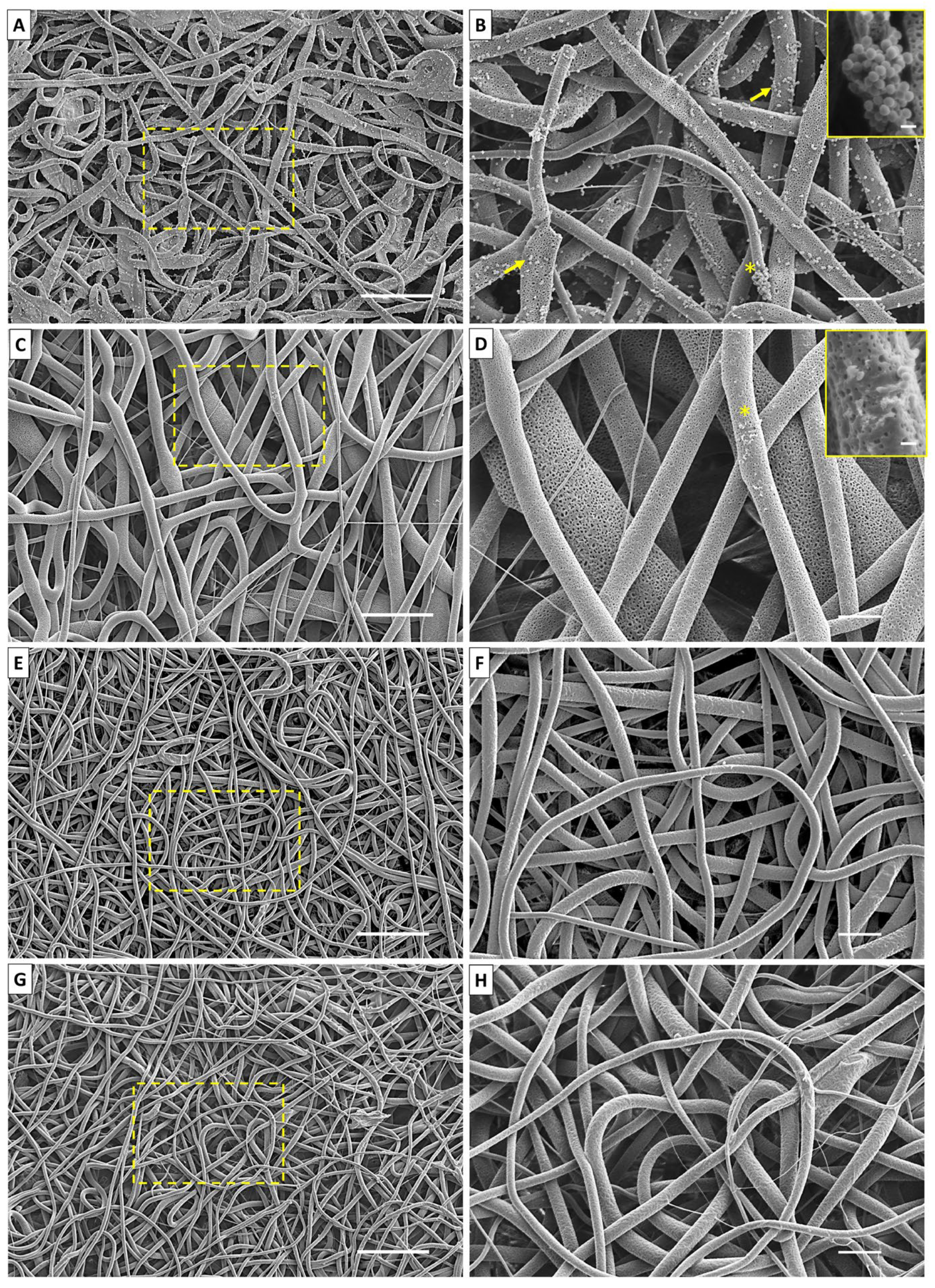 Antibiotics 12 00898 g004 Antibiotics 12 00898 g004