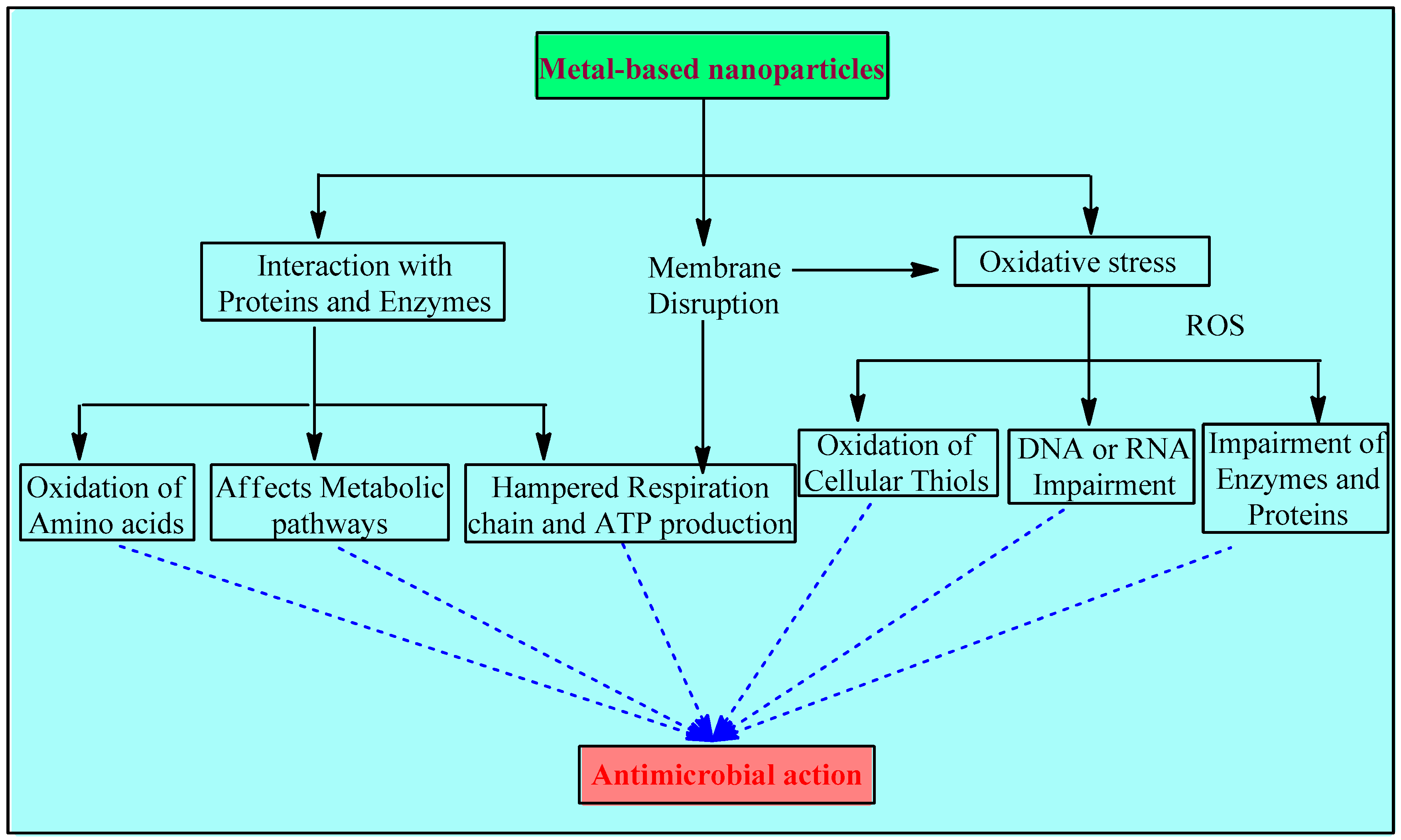 Antibiotics 12 00909 g001