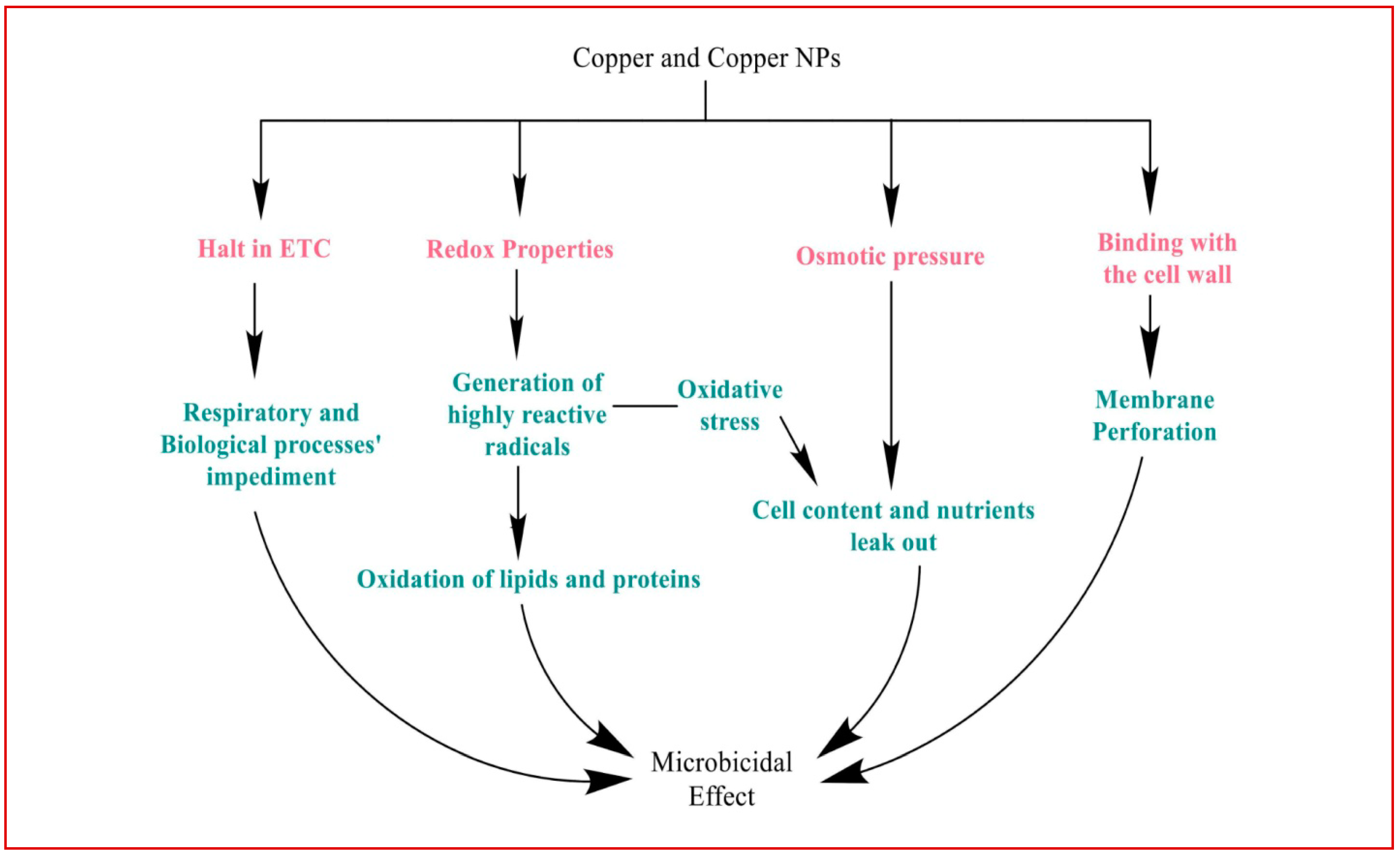 Antibiotics 12 00909 g002