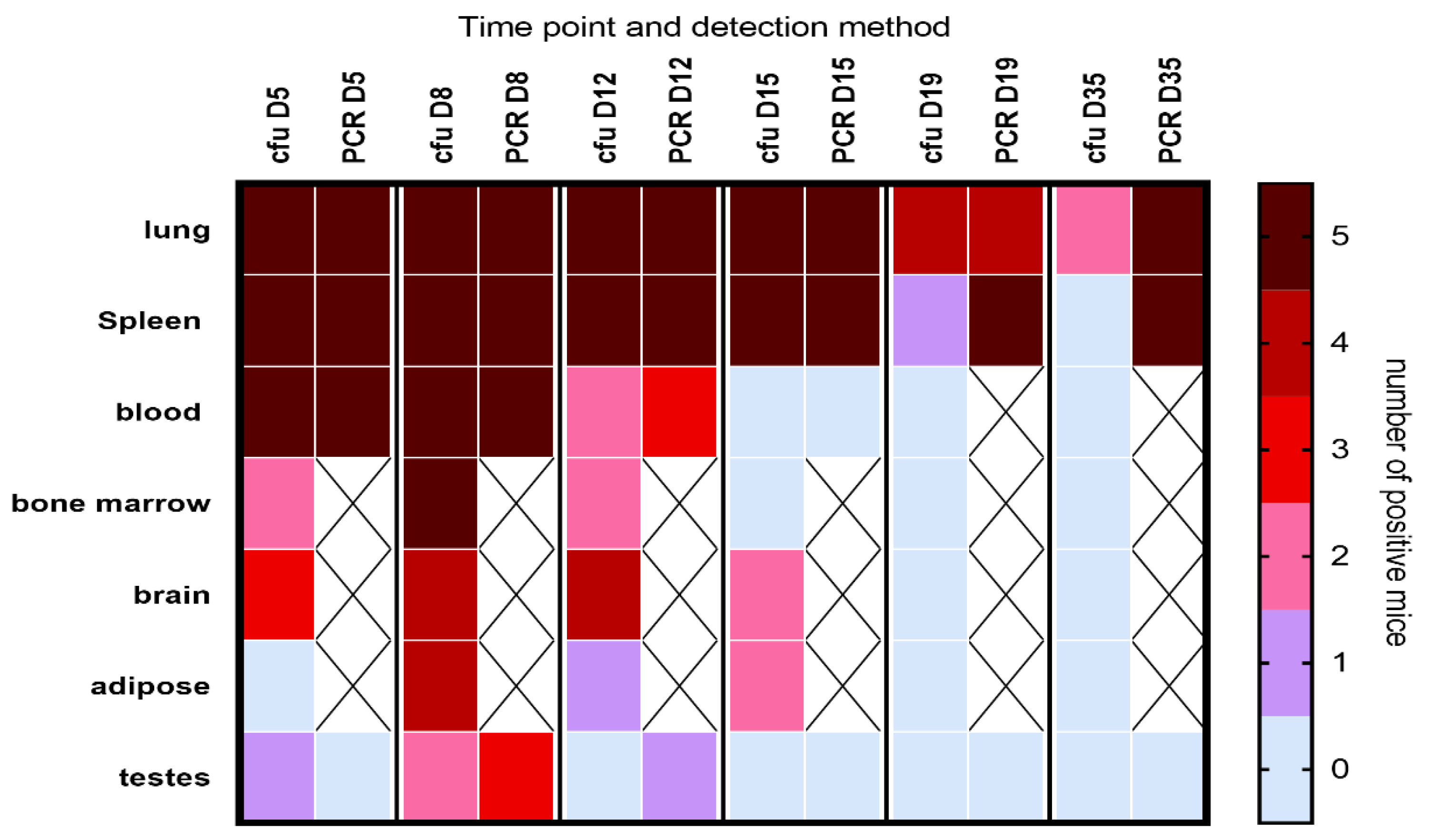 Antibiotics 12 00914 g002