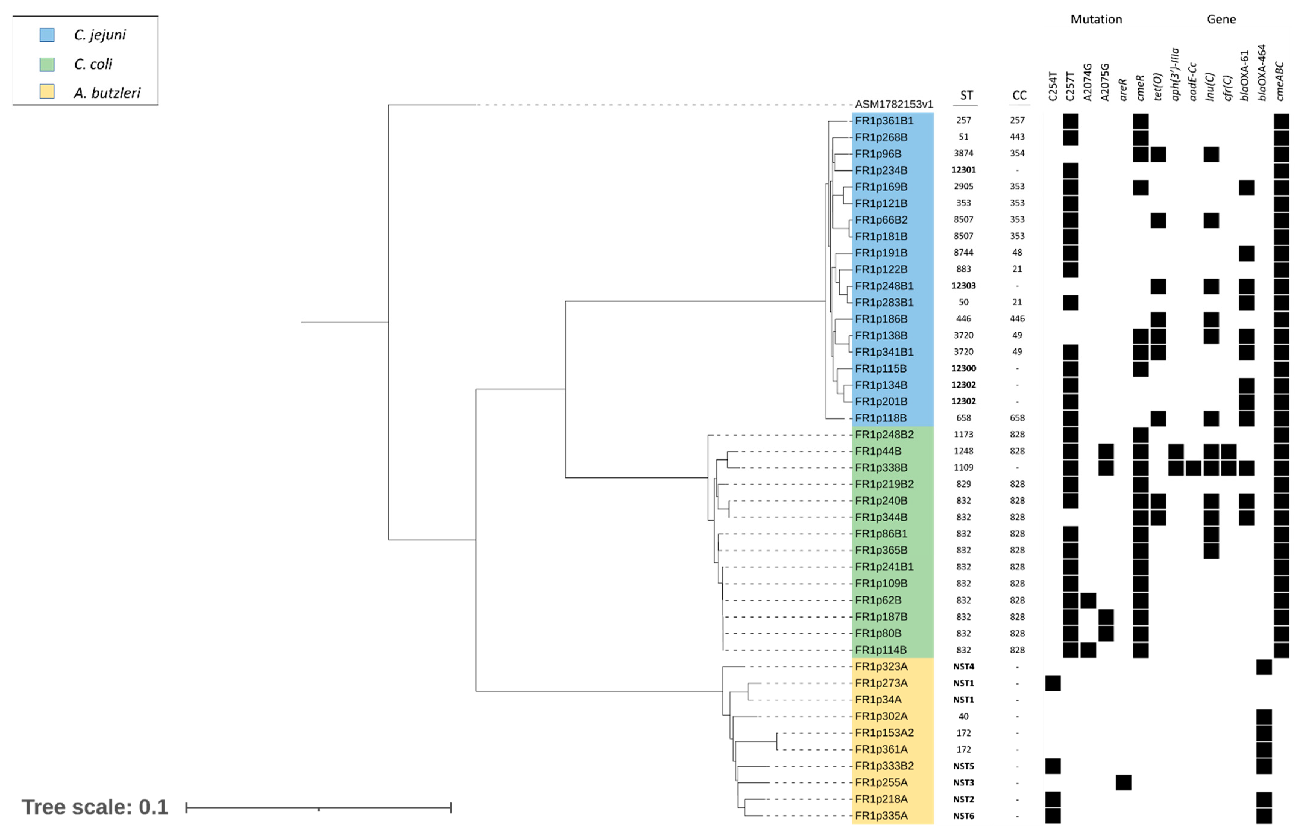 Antibiotics 12 00917 g001