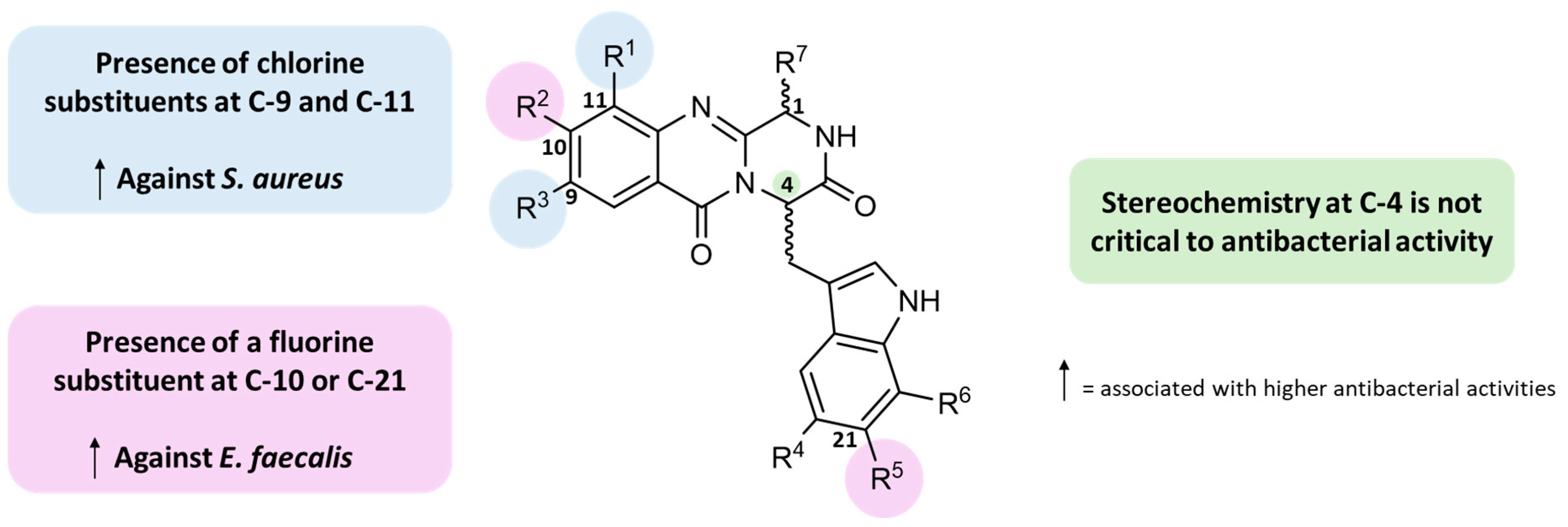 Antibiotics 12 00922 g011