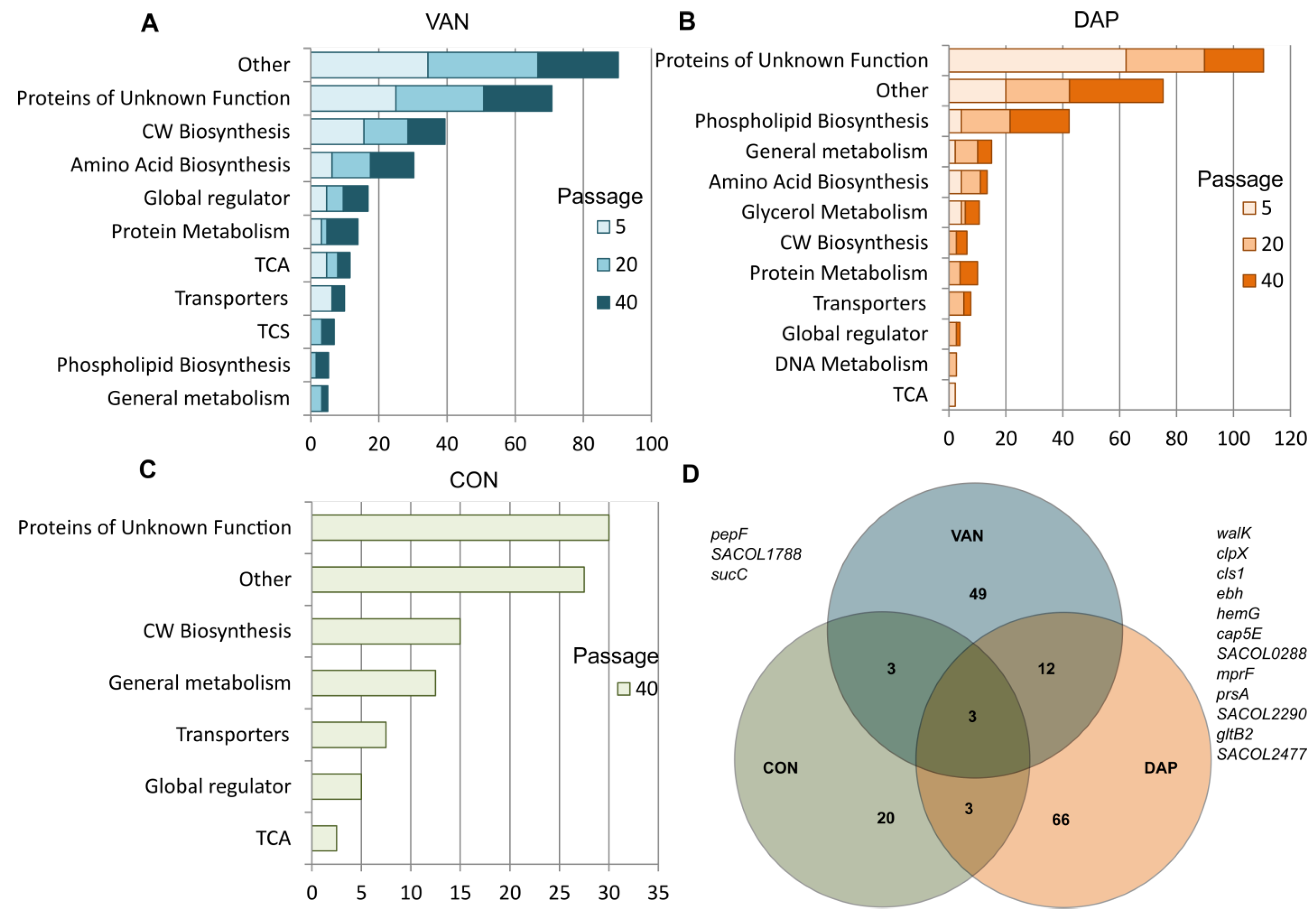 Antibiotics 12 00928 g005 Antibiotics 12 00928 g005