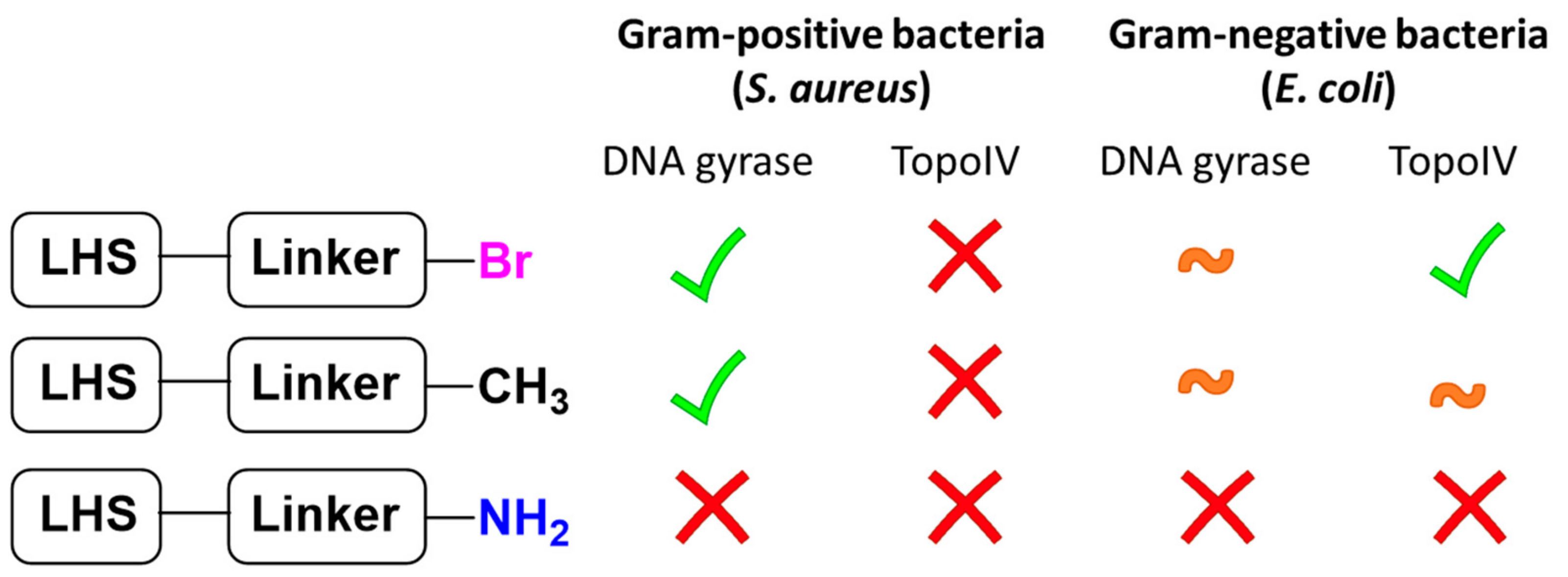 Antibiotics 12 00930 g004